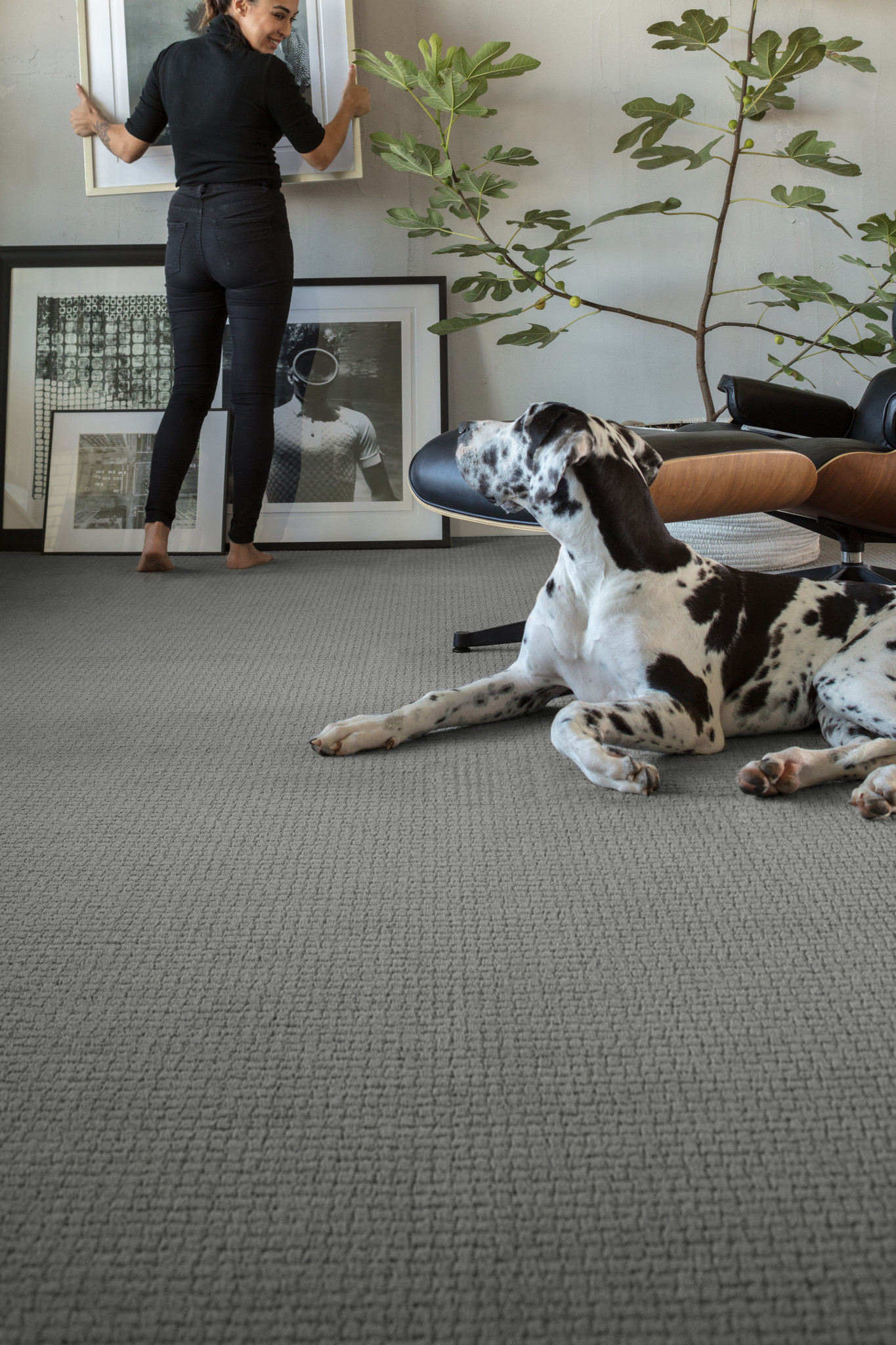 PAWSTRUCK PORTLAND StaticImage02