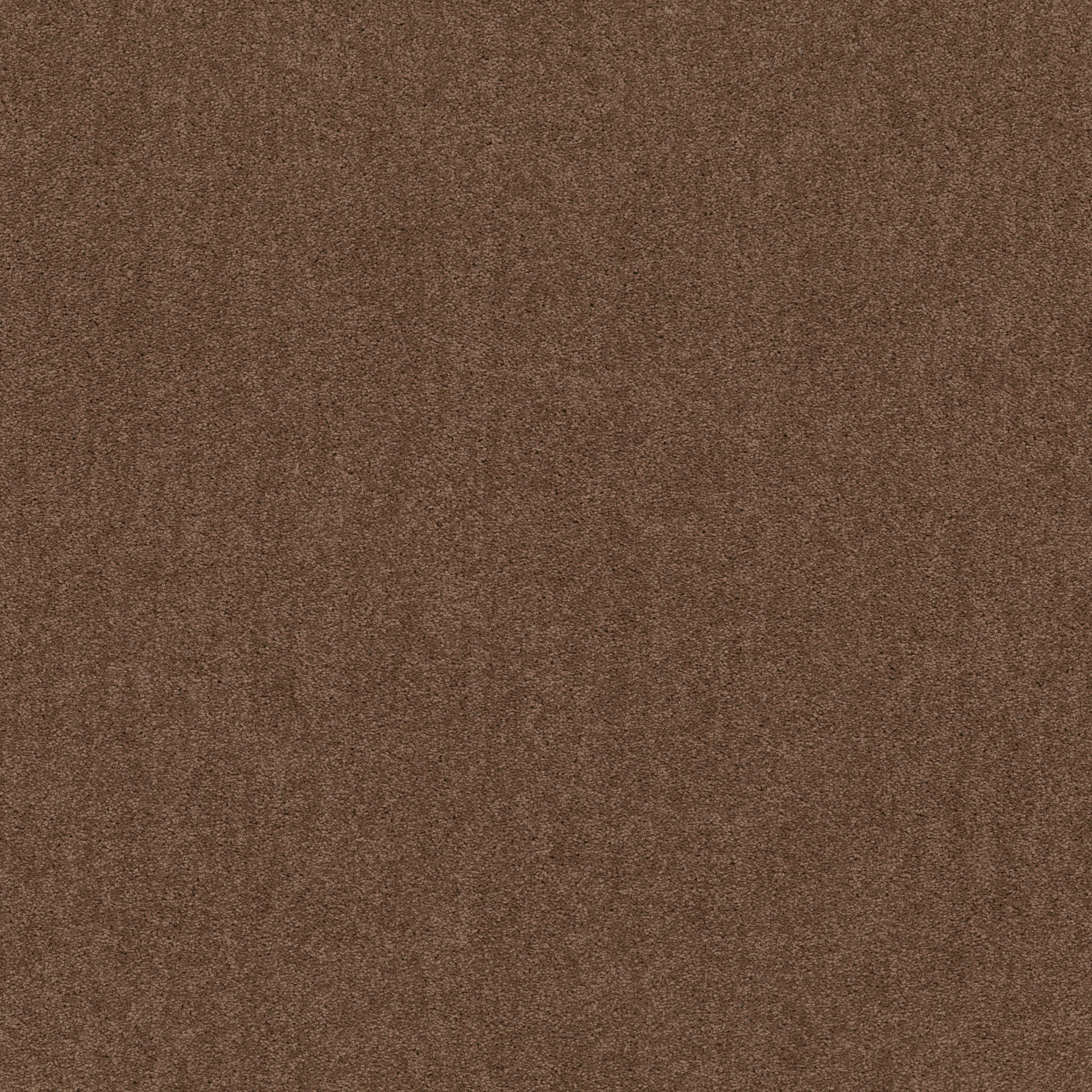 LACONA 12' WINTER WHEAT MAIN