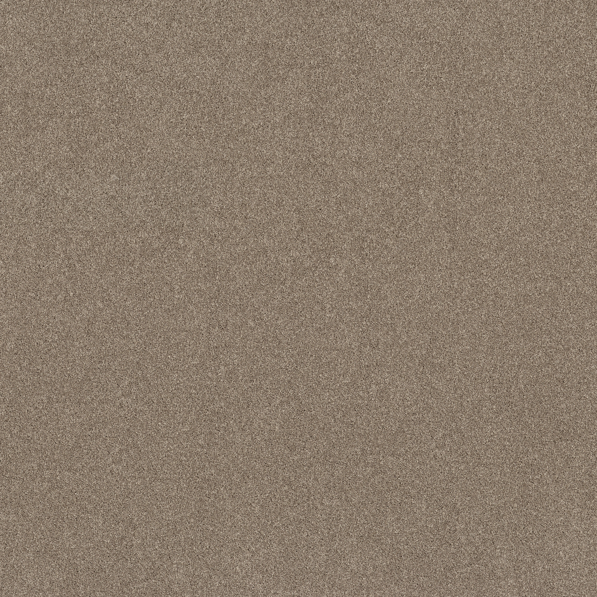 NEW MEMORIES T STONECREST MAIN