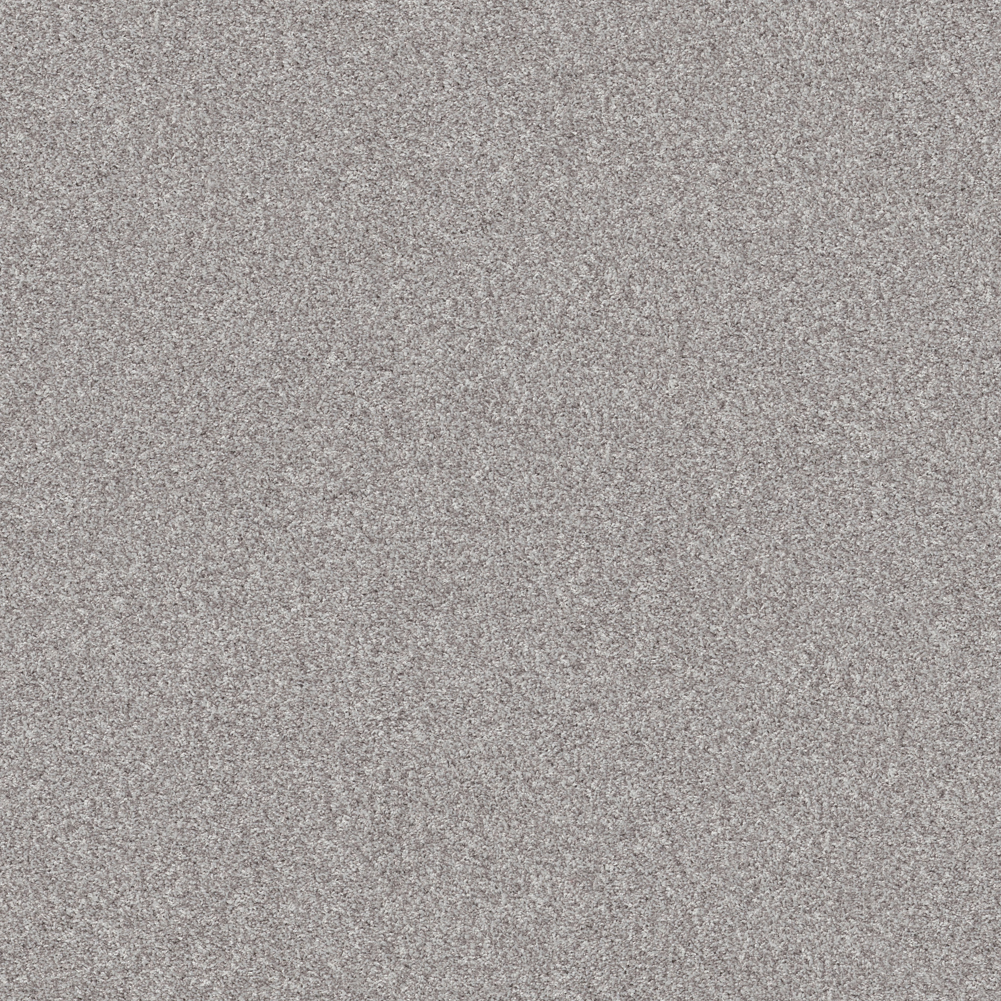 INLET SHORE I 15' SHEER WHITE MAIN