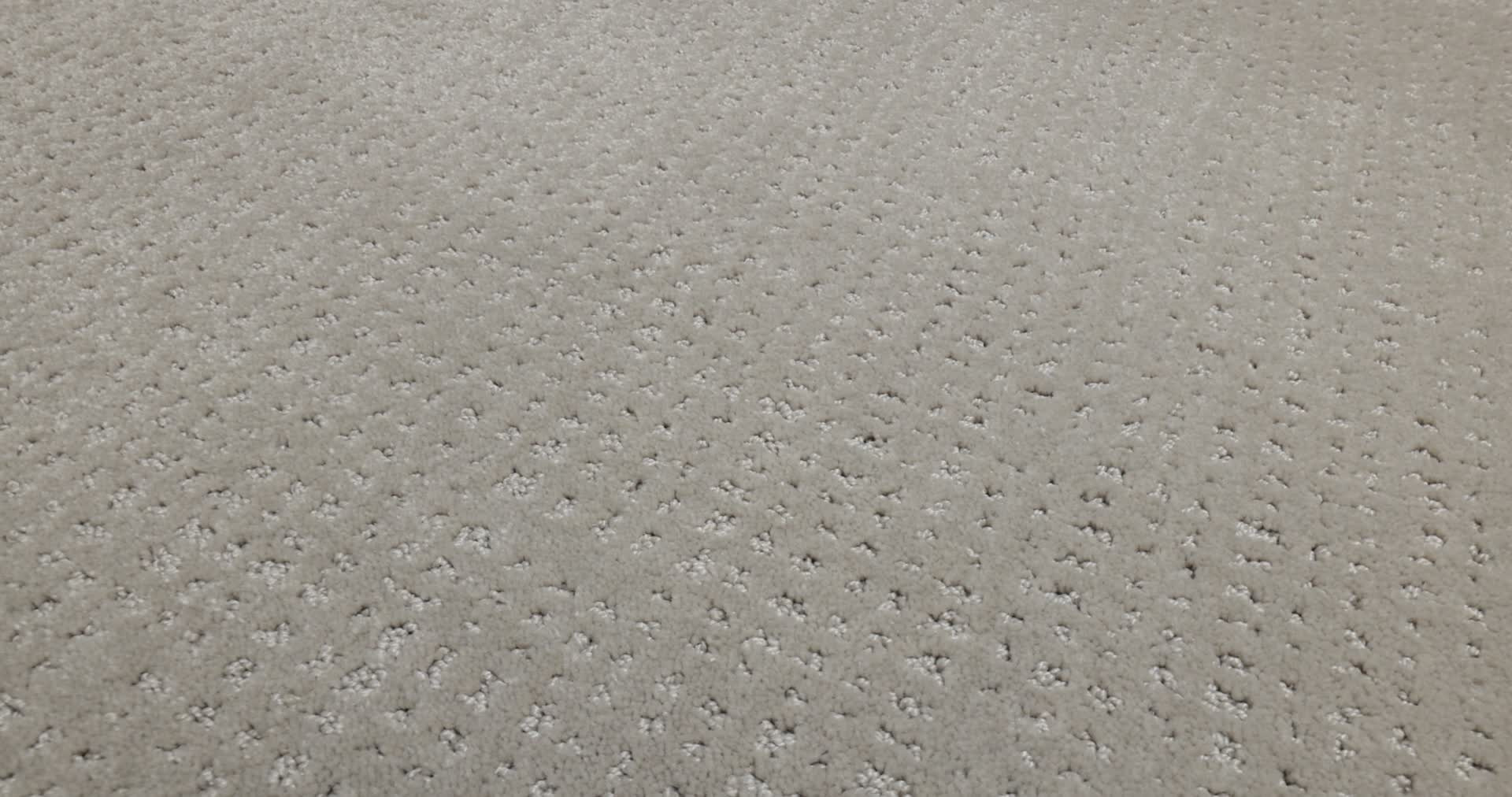 VIVID MEMORIES BACK PATIO 360PROD