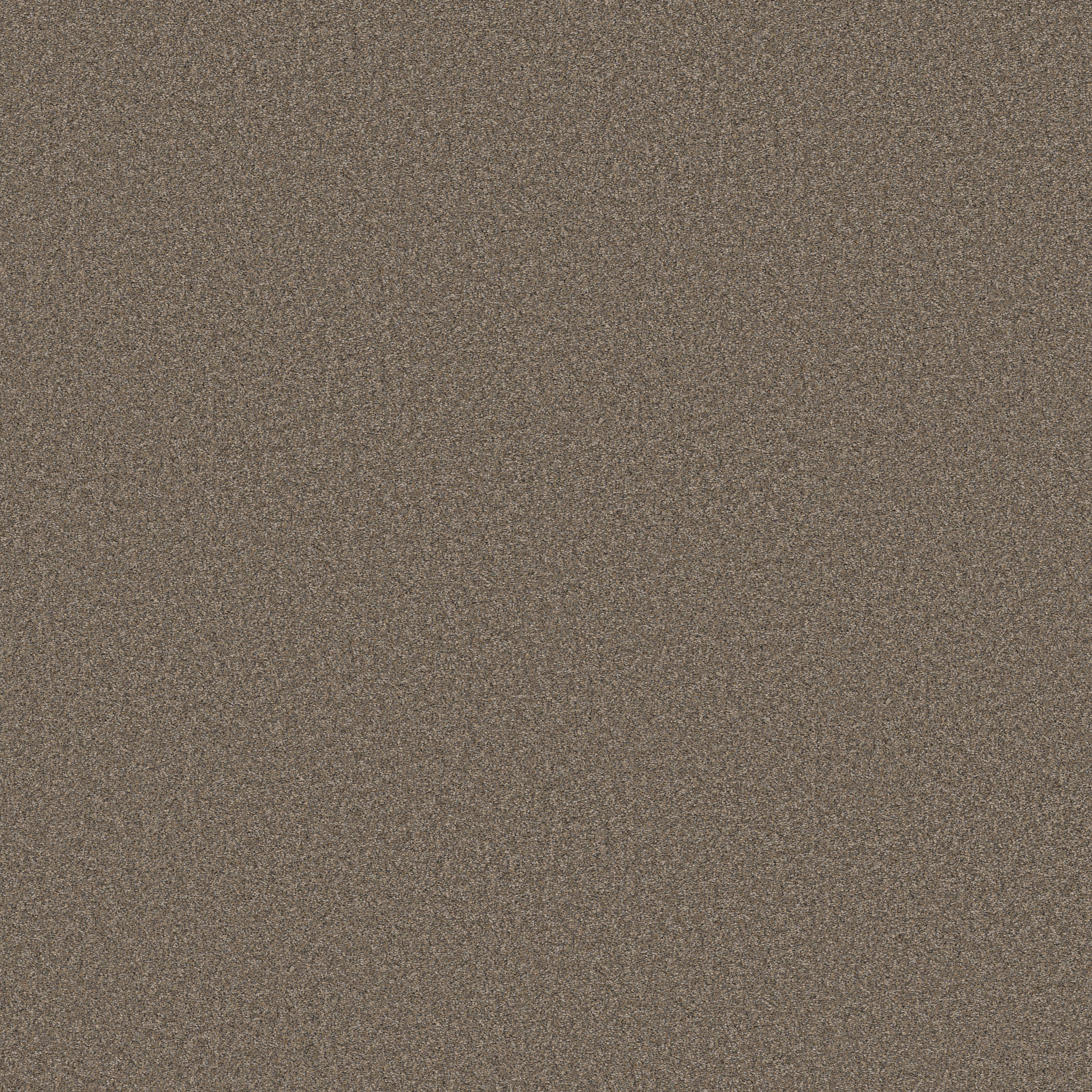 WONDERLAND II SMOKED TAN MAIN