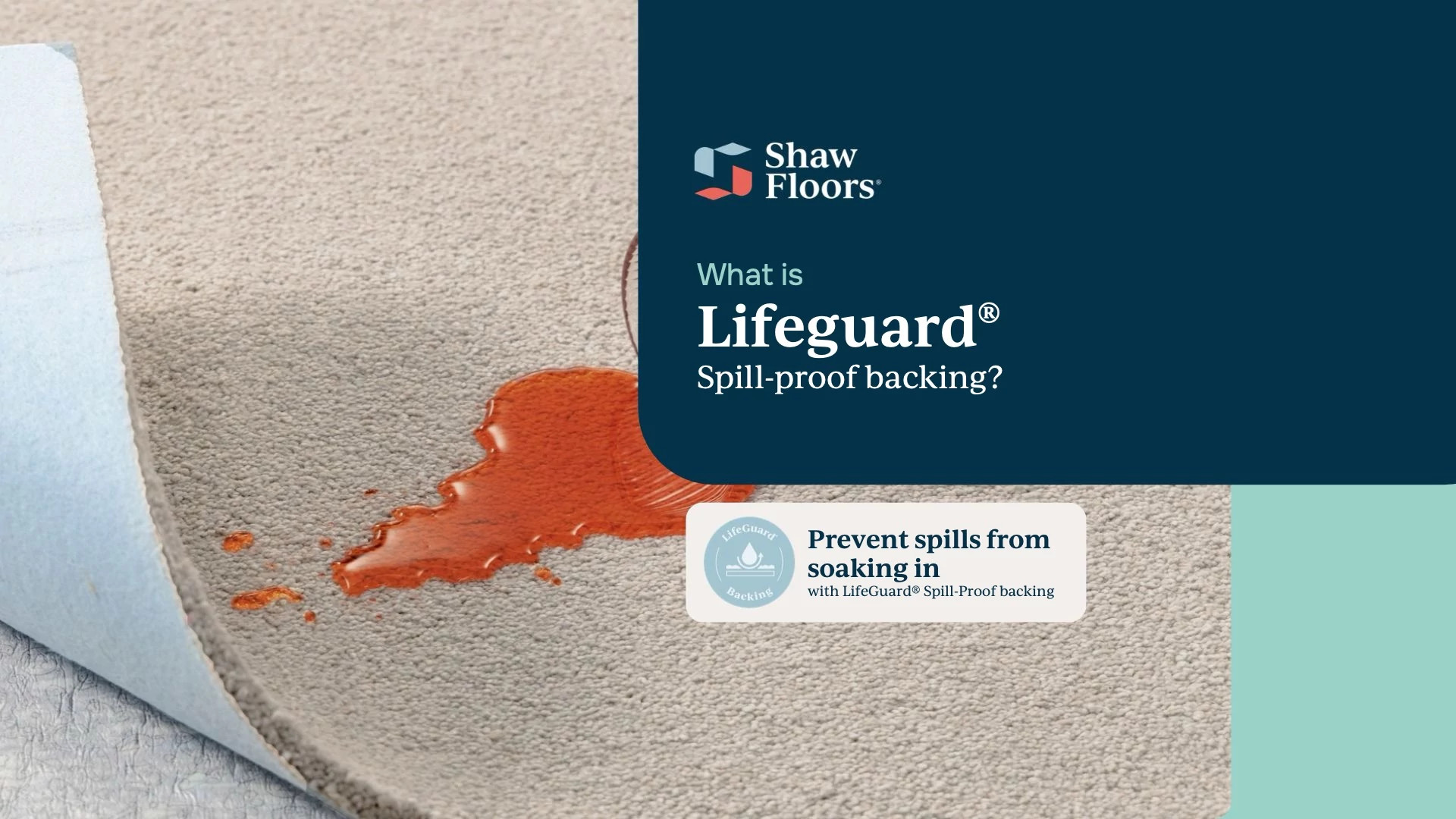 REFINED BEAUTY PRAIRIE Lifeguard innovation Video
