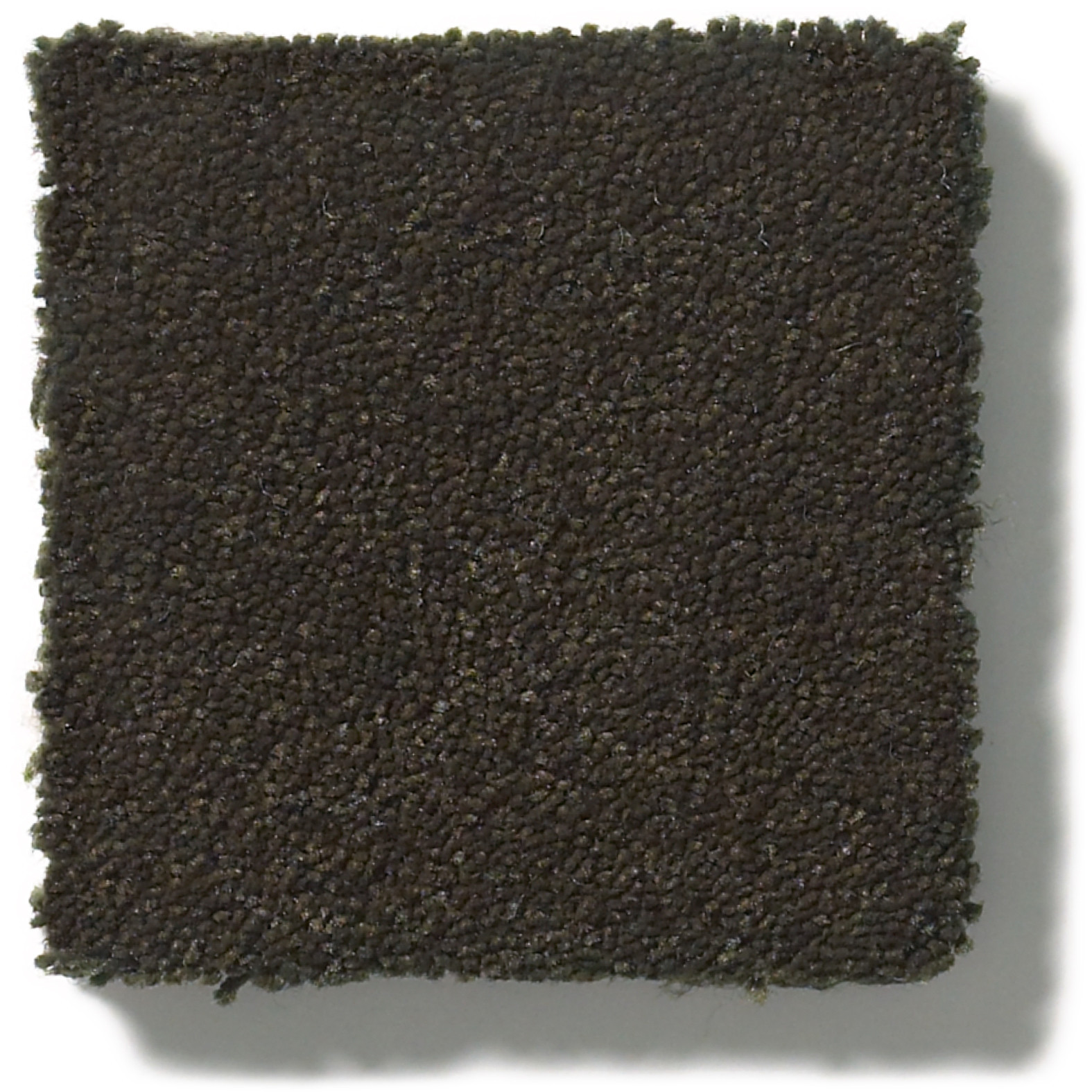 PERFECT CHOICE FIR SWATCH