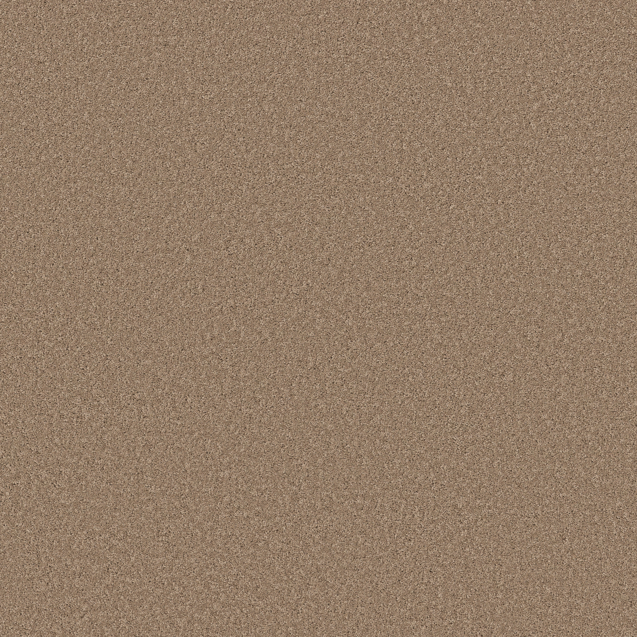 NEW MEMORIES S SIERRA MAIN