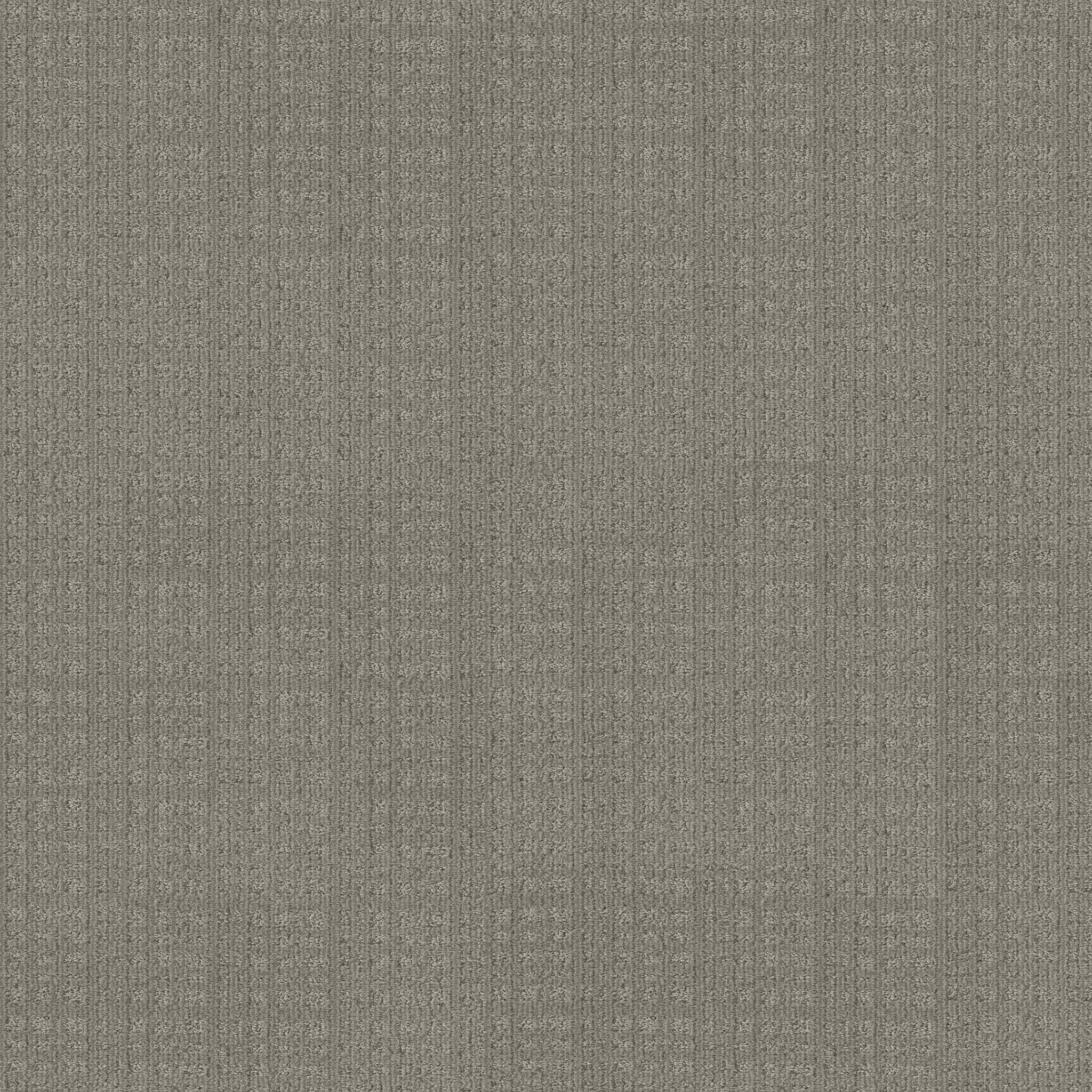 PURRSUASION BACKDROP MAIN