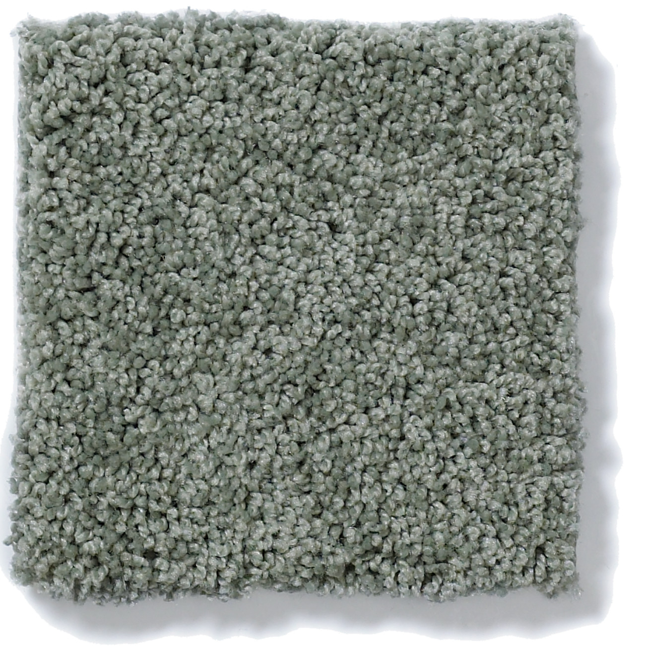 MY INSPIRATION II SILVER SAGE SWATCH