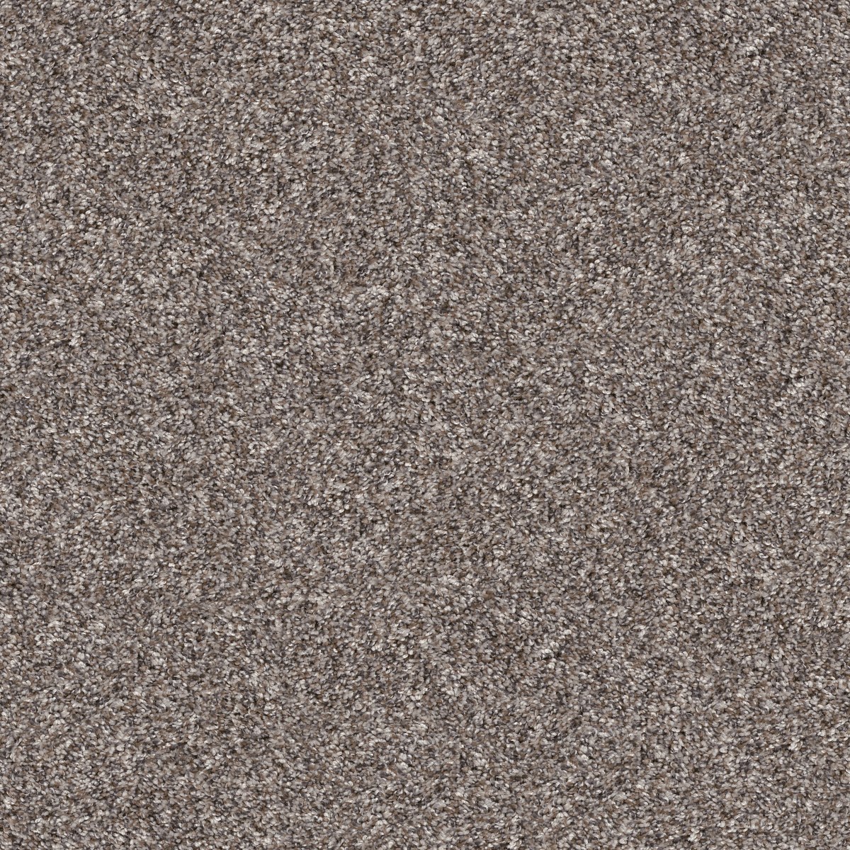 Shaw Floors YES YOU CAN II 12' — ALASKAN AIR