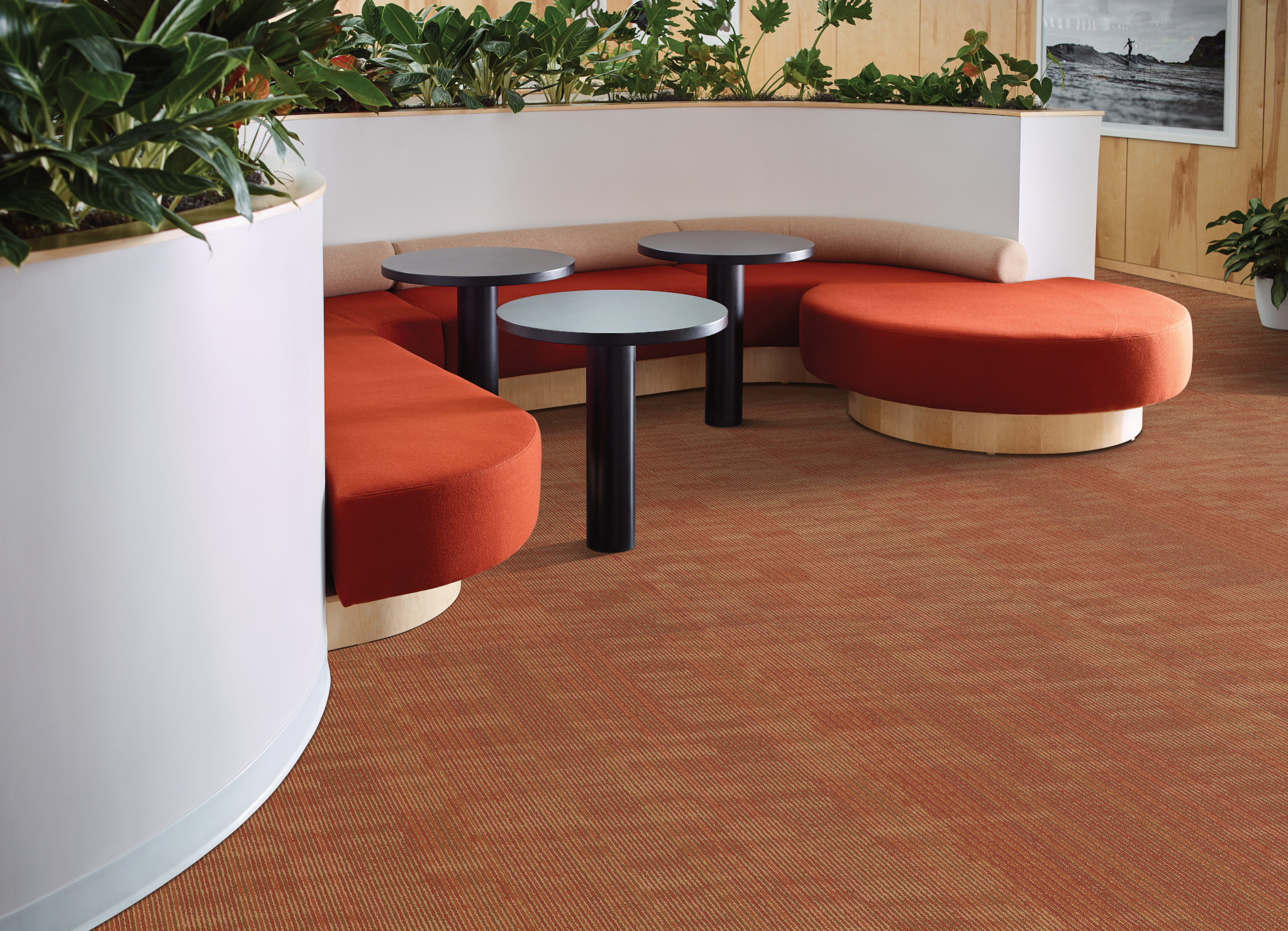 ENCODE-54926-ELECTRO-00600-room-image