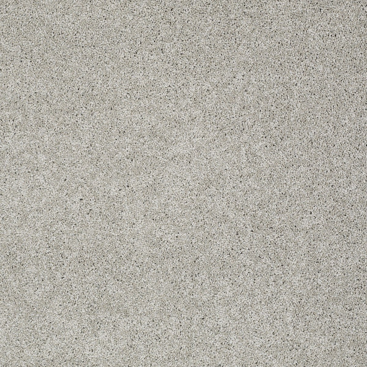 Shaw Floors MY INSPIRATION II — ASH
