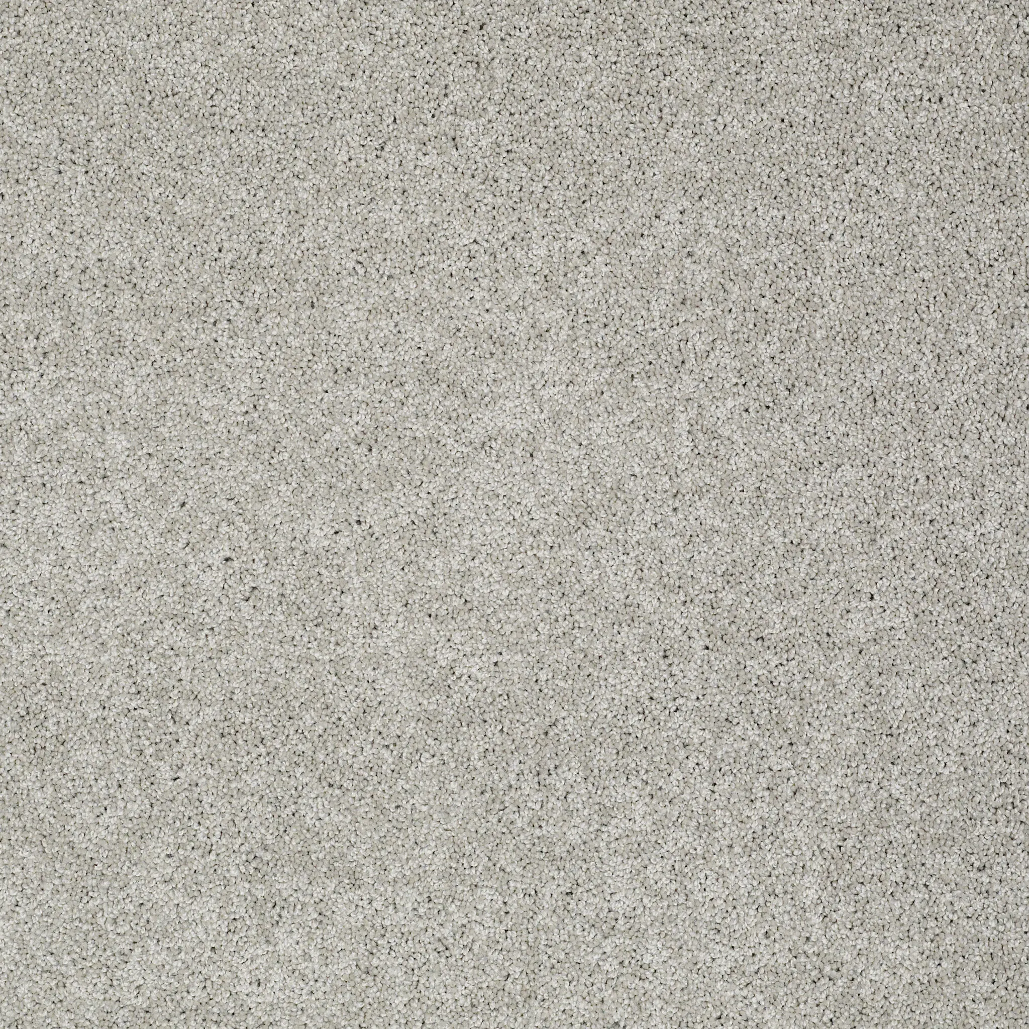 Light gray textured carpet swatch for a cozy and durable home flooring option