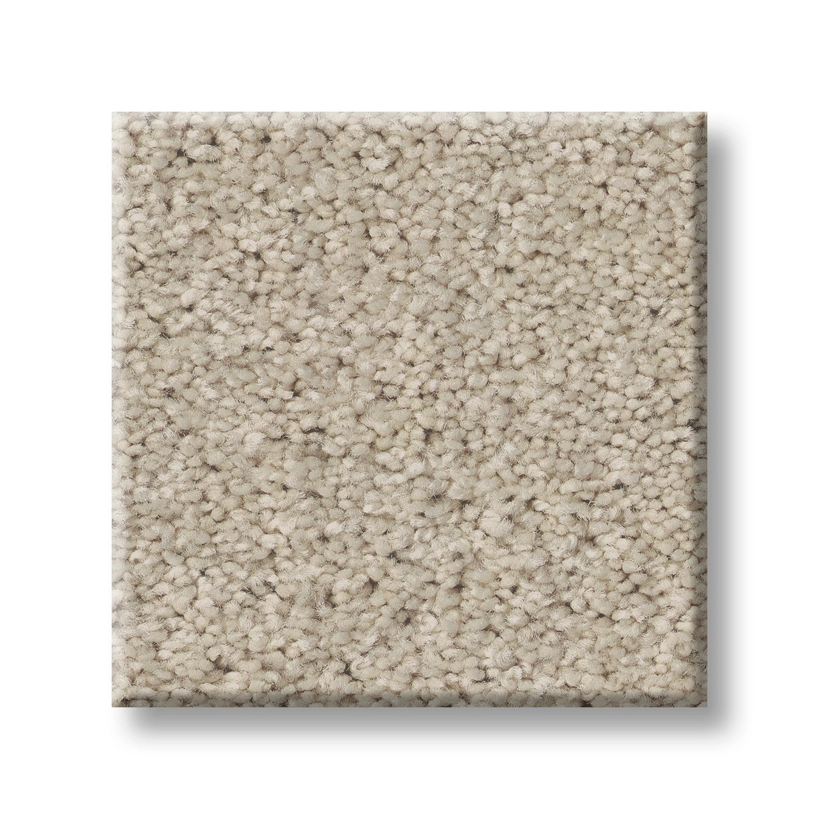 OPPORTUNITY KNOCKS DOESKIN SWATCH