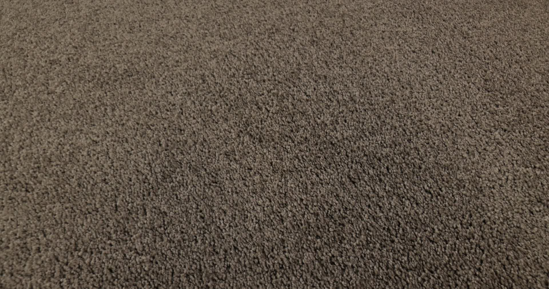 MY CHOICE I FLAX 360PROD