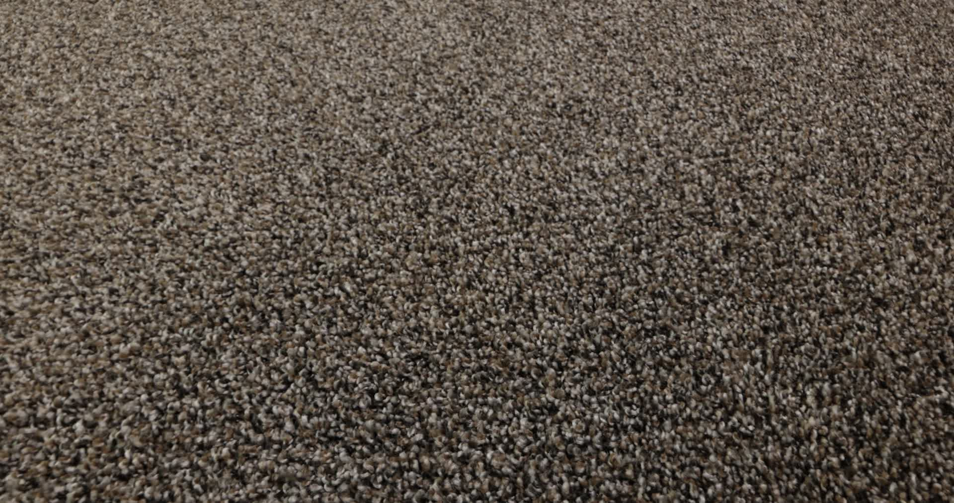 TENACIOUS WIN TREE BARK 360PROD