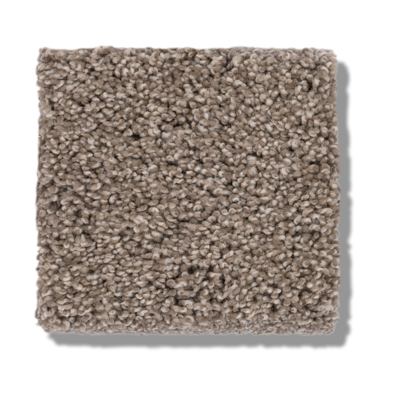 COZY HARBOR II TUMBLEWEED SWATCH