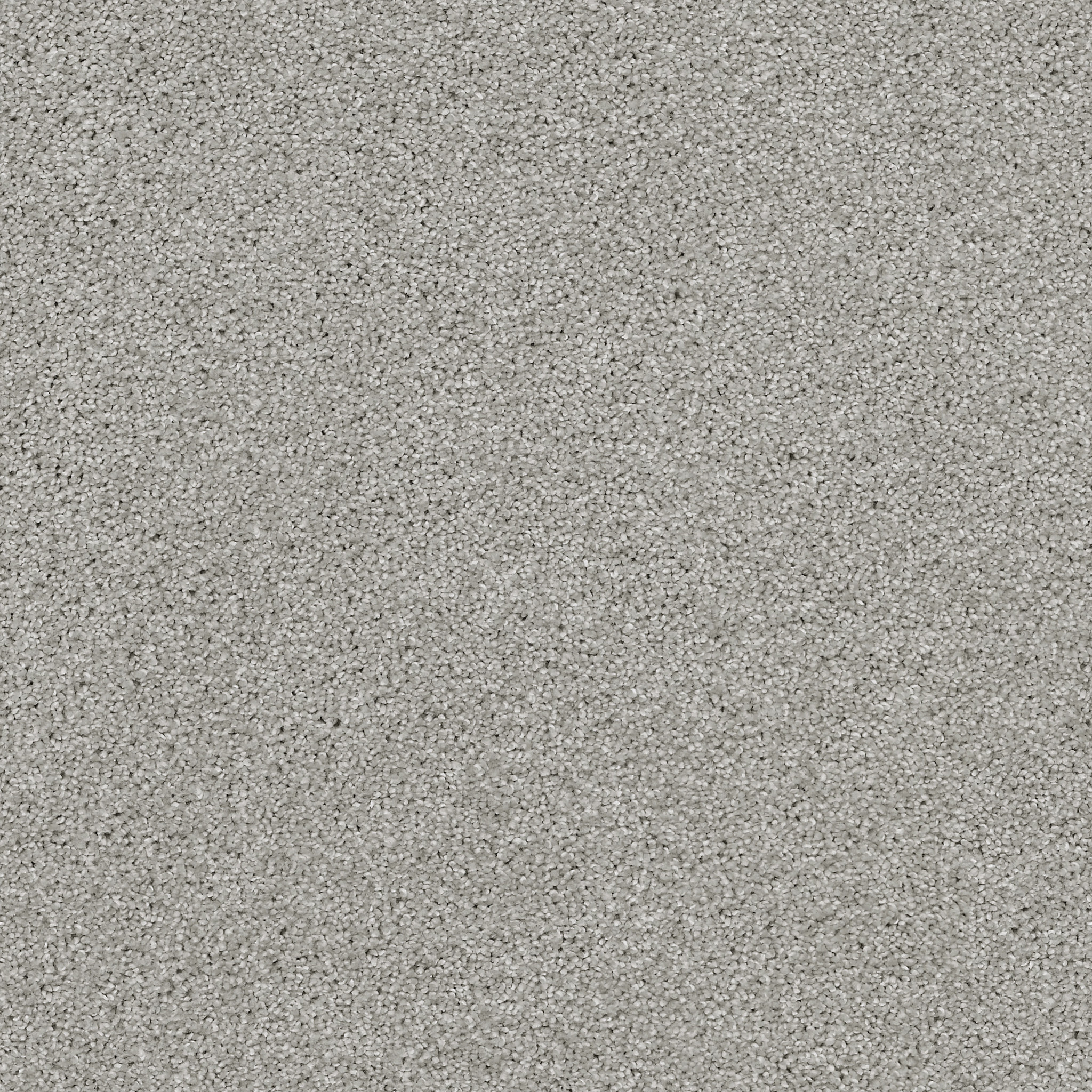 ALWAYS READY II VAPOR MAIN