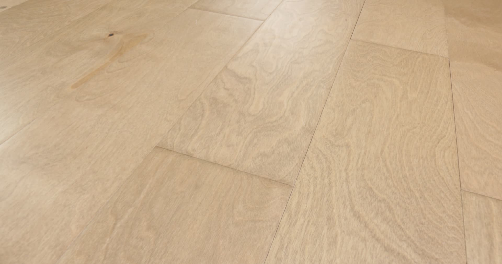 BISCAYNE BAY SEAGRASS 360PROD