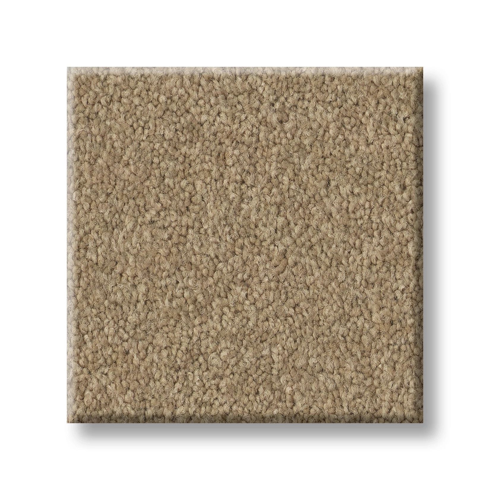 TIMELESS APPEAL III 12' ADOBE SWATCH