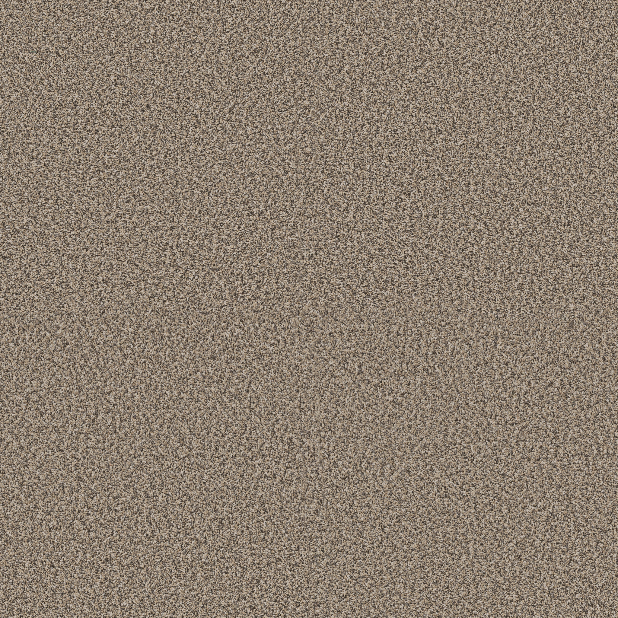 RENEWED ENERGY II KHAKI MAIN