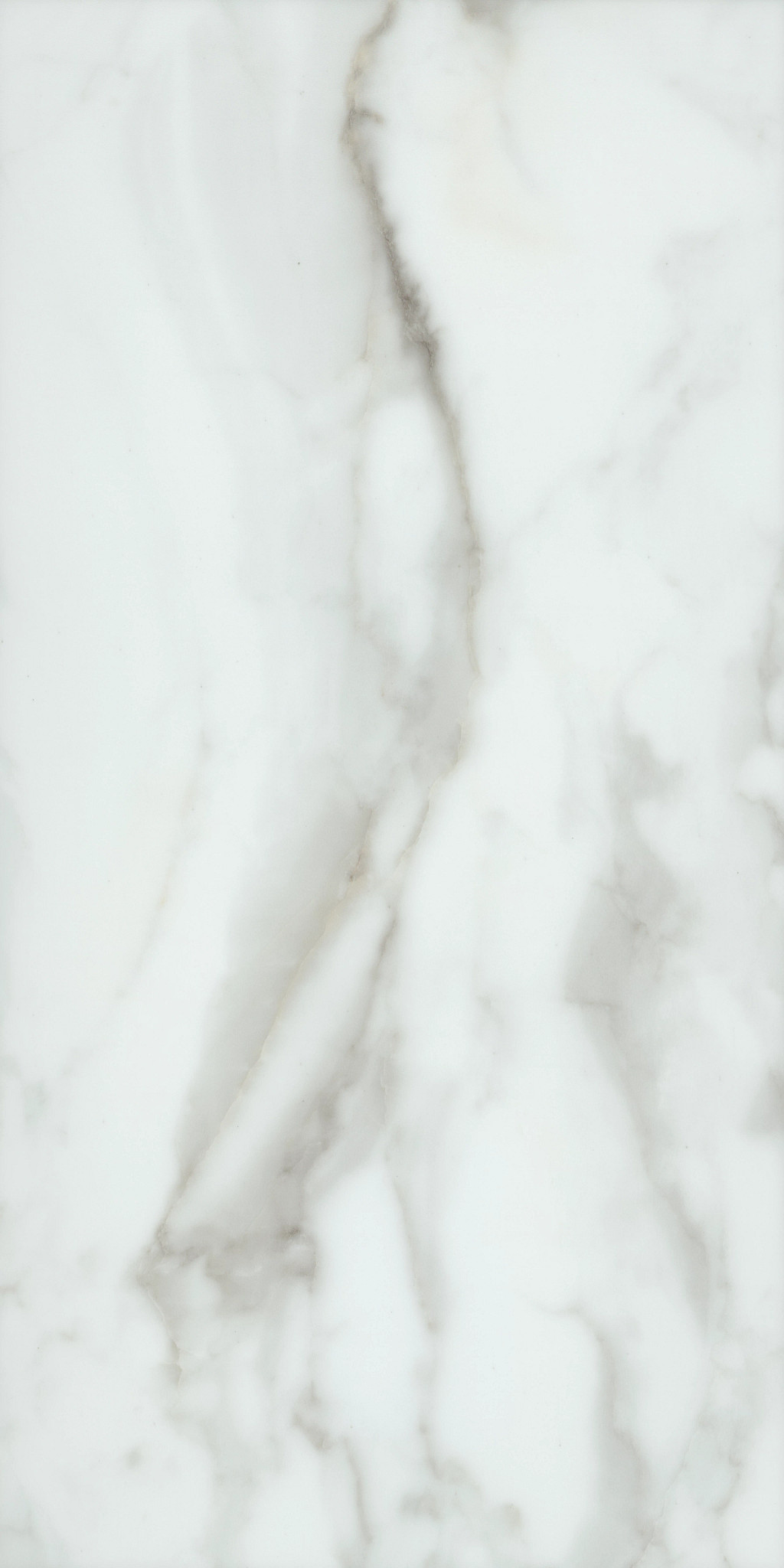 PARAGON TILE PLUS CALACATTA 1TO1