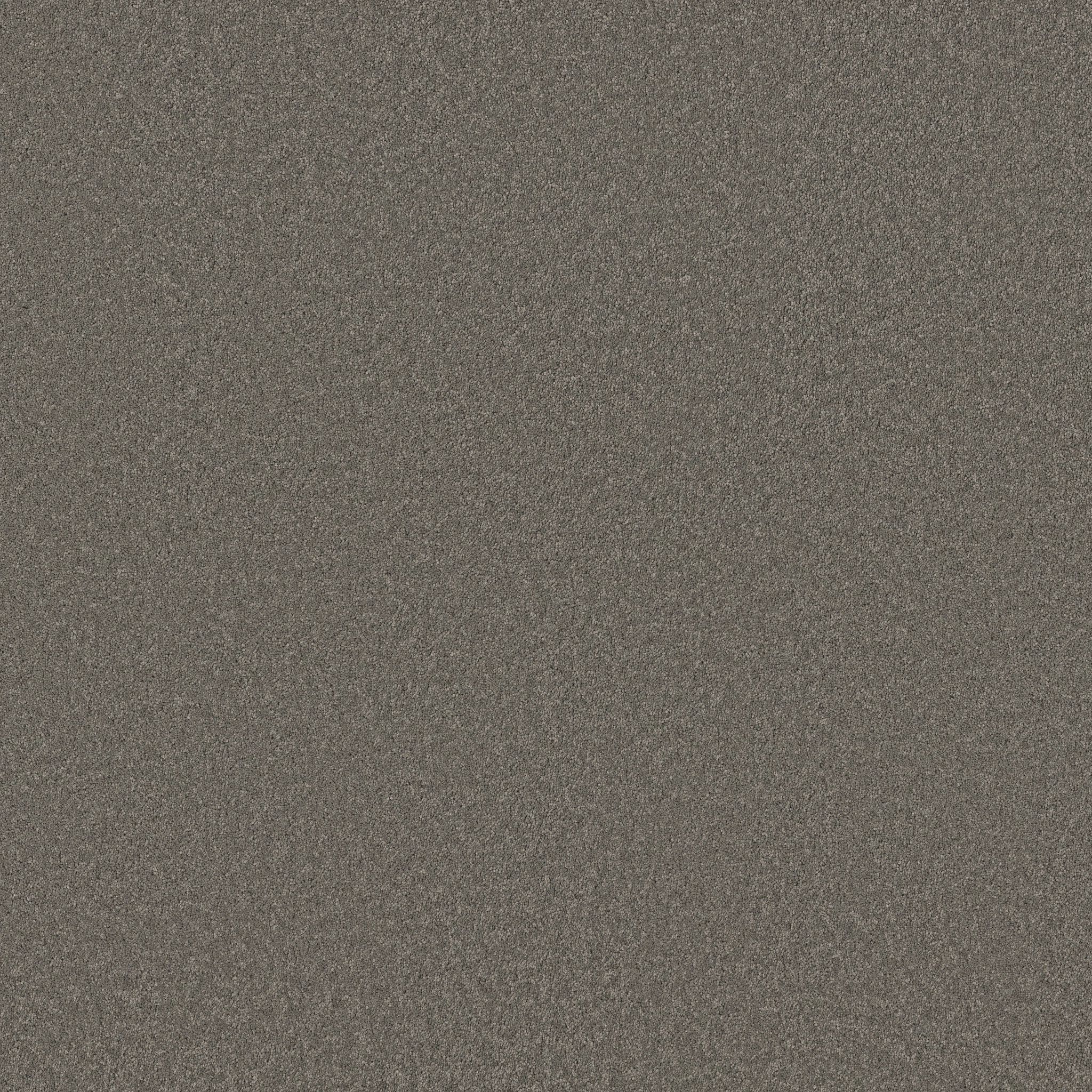 ELEGANT BEAUTY LUNAR ROCK MAIN