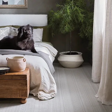 Premium Broadloom Carpet for Modern Bedrooms - 12 ft Width Elegant bedroom featuring a broadloom carpet in light gray