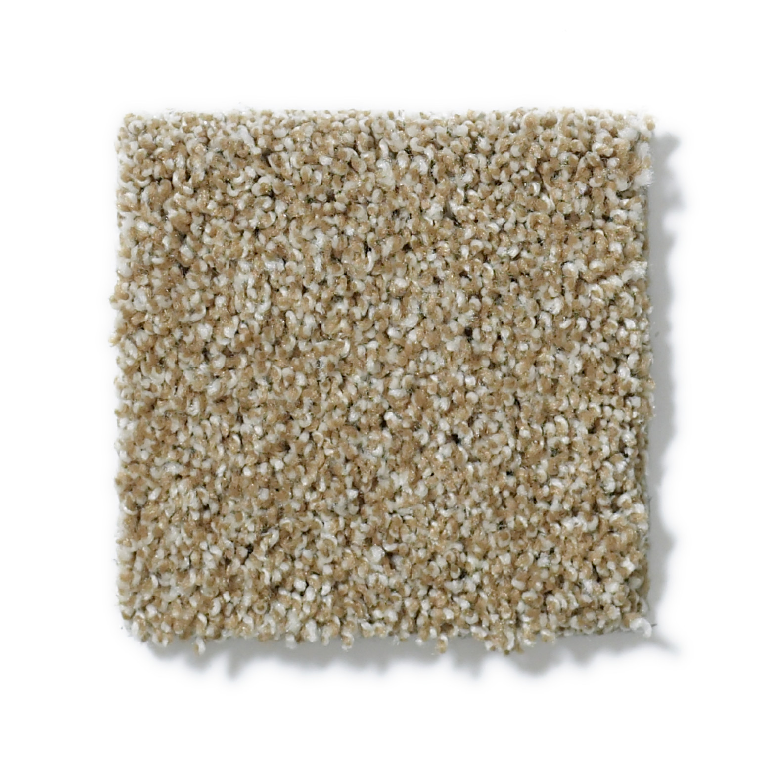 SUN DRENCHED NATURAL WOOD SWATCH