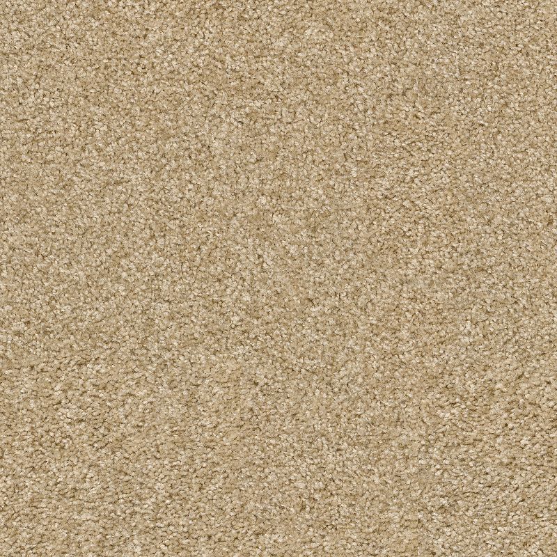 Play Hard Broadloom Carpet in Sand Pebble color, 12ft width, 100% nylon material
