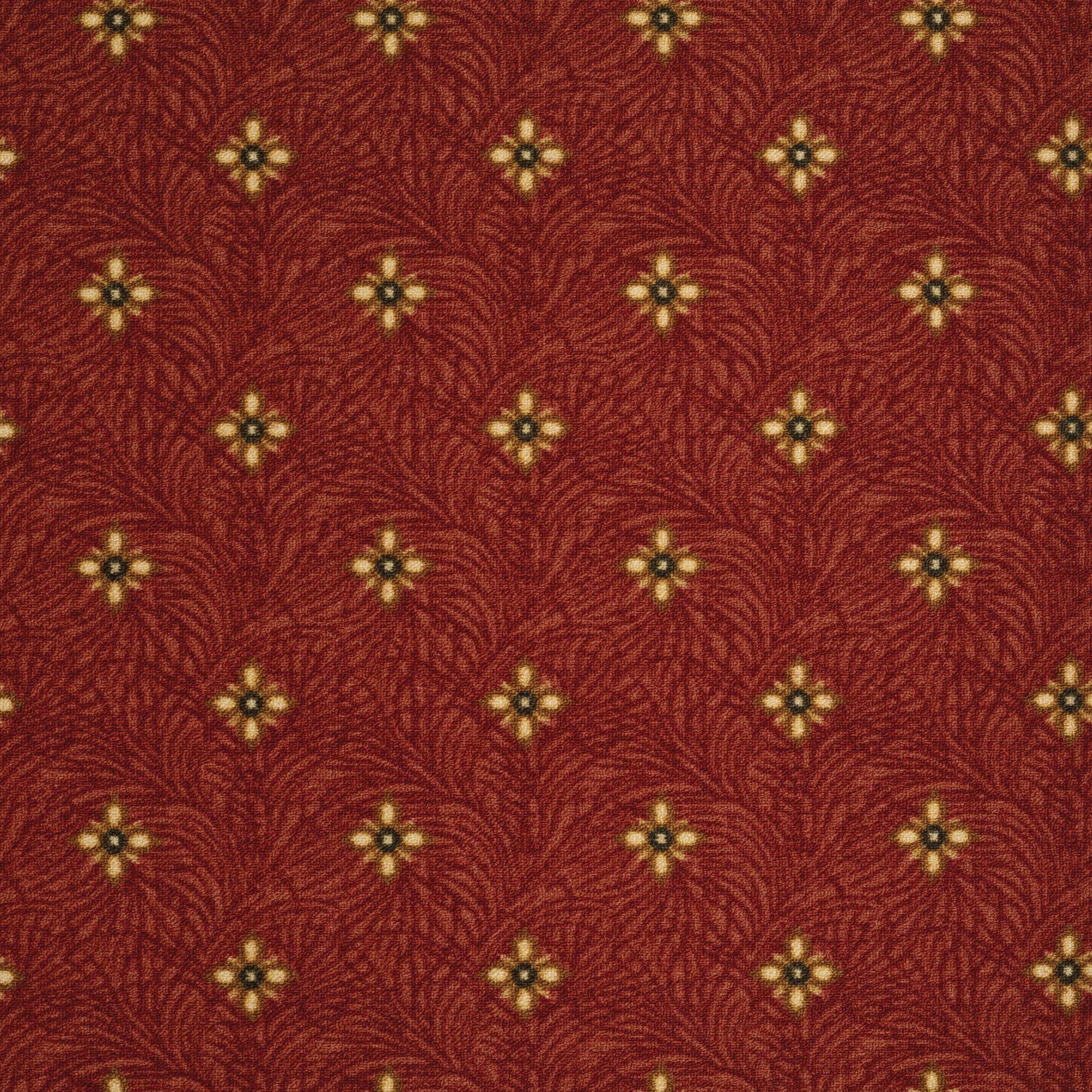 FEATHER-TAIL-54533-OSTRICH-33800-main-image