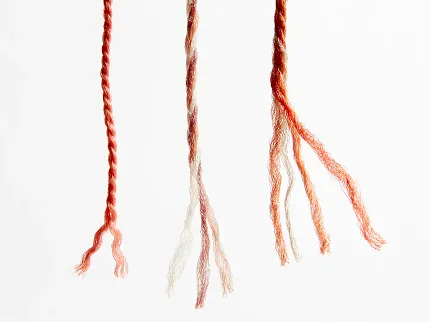 Twisted Yarn Strands in Red, Beige, and Orange for Carpet Design Close-up of three twisted yarn strands in shades of red, beige, and orange on a white background