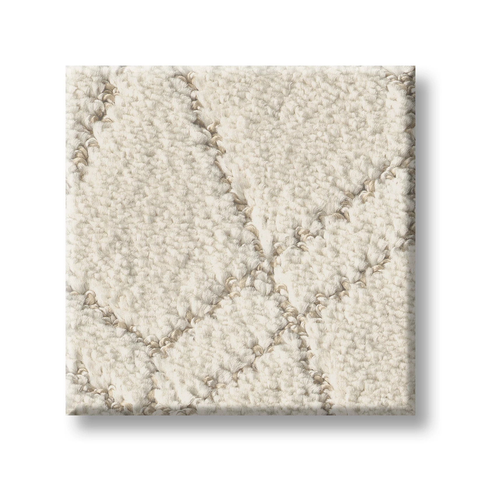 POINT OF VIEW NATURAL SWATCH