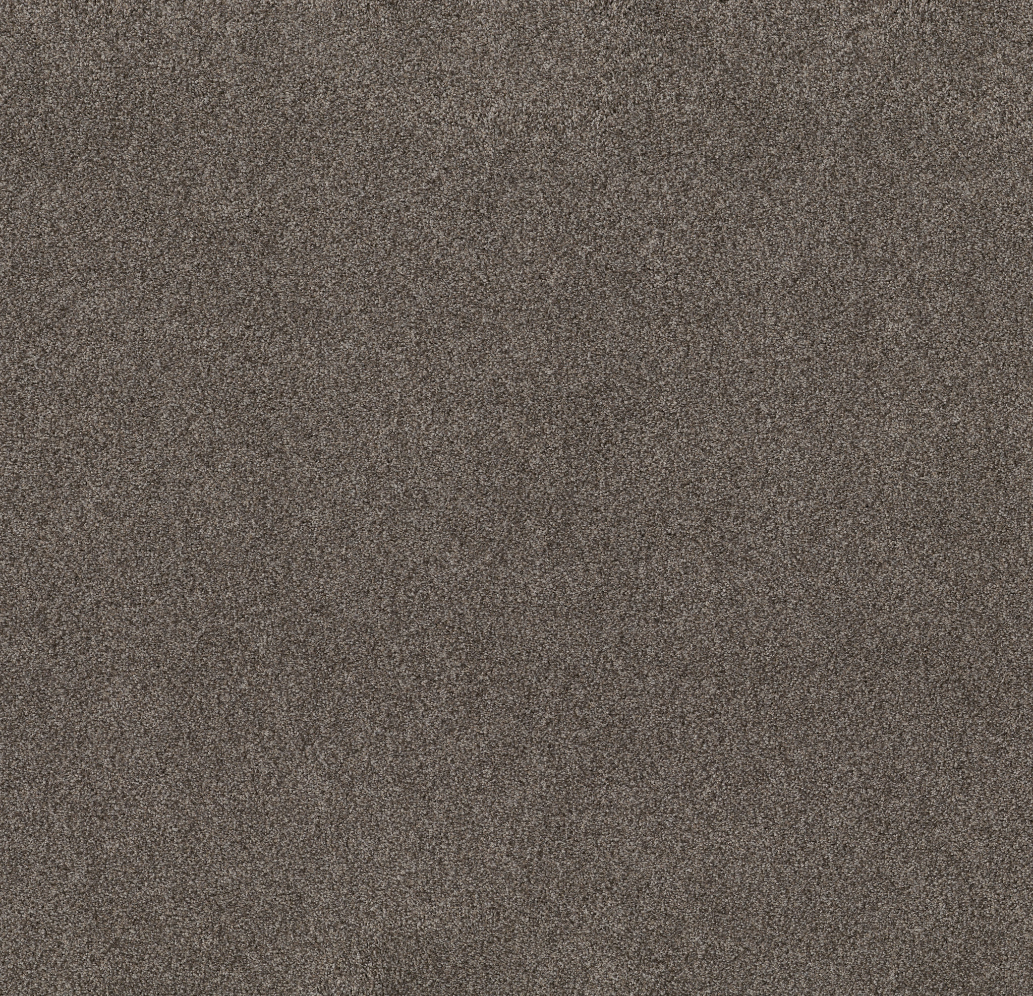 Live on Comfort WOODCLIFF BROWN MAIN