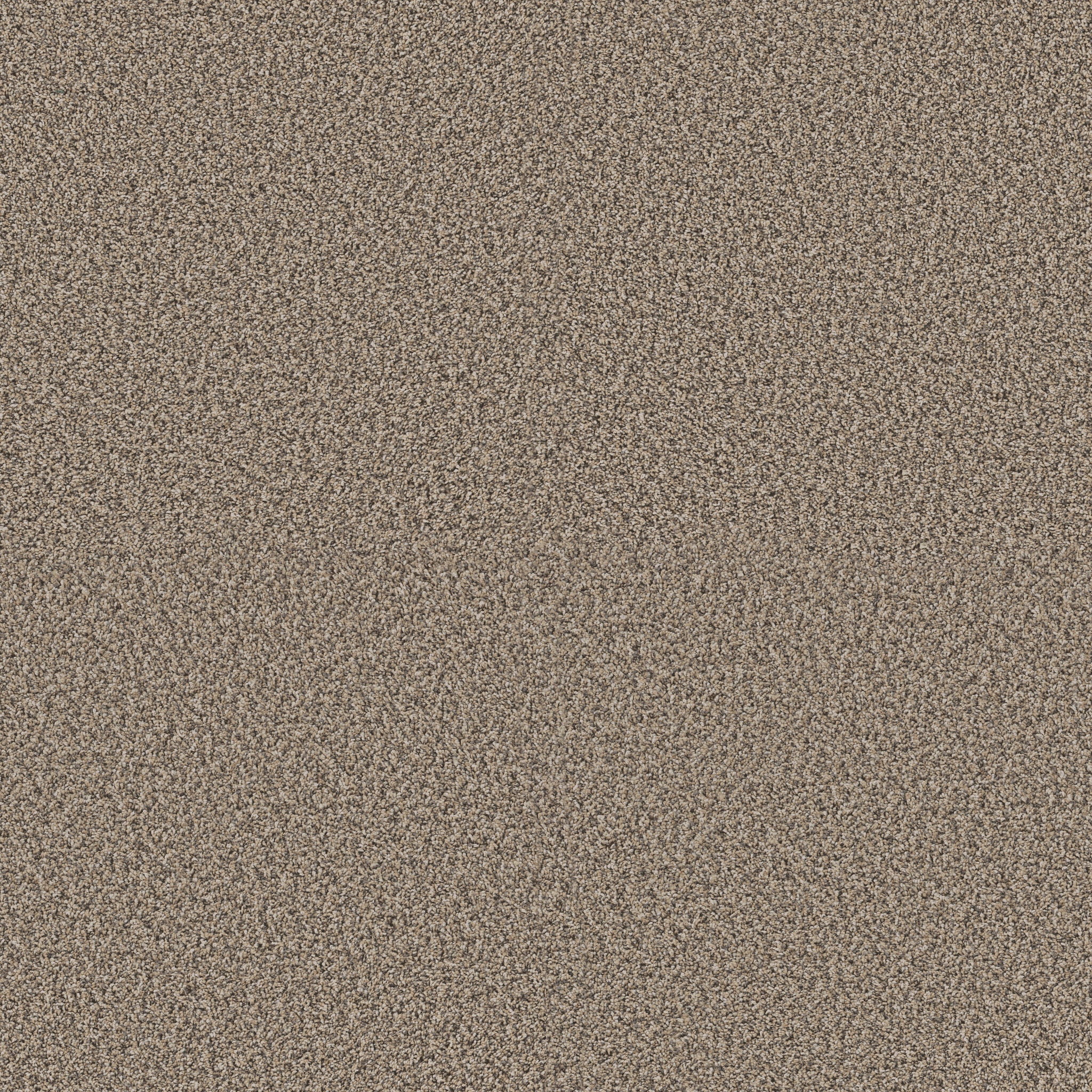 Renewed Energy I KHAKI MAIN