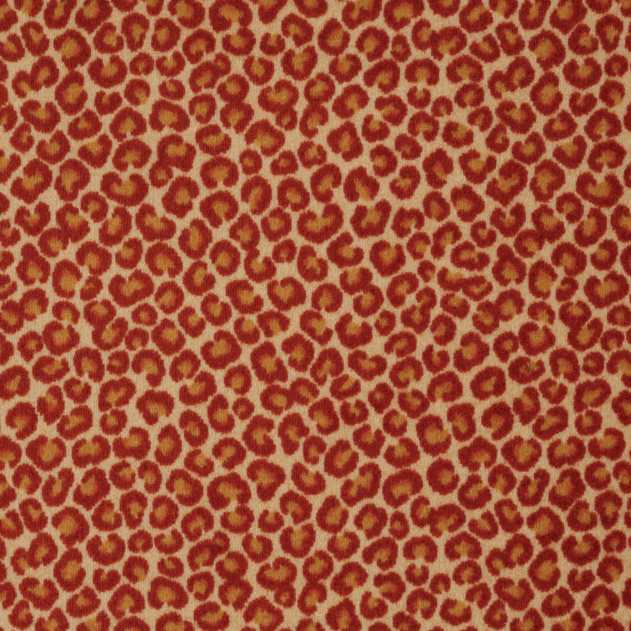 CHEETAH-54509-BIG-CAT-09600-main-image