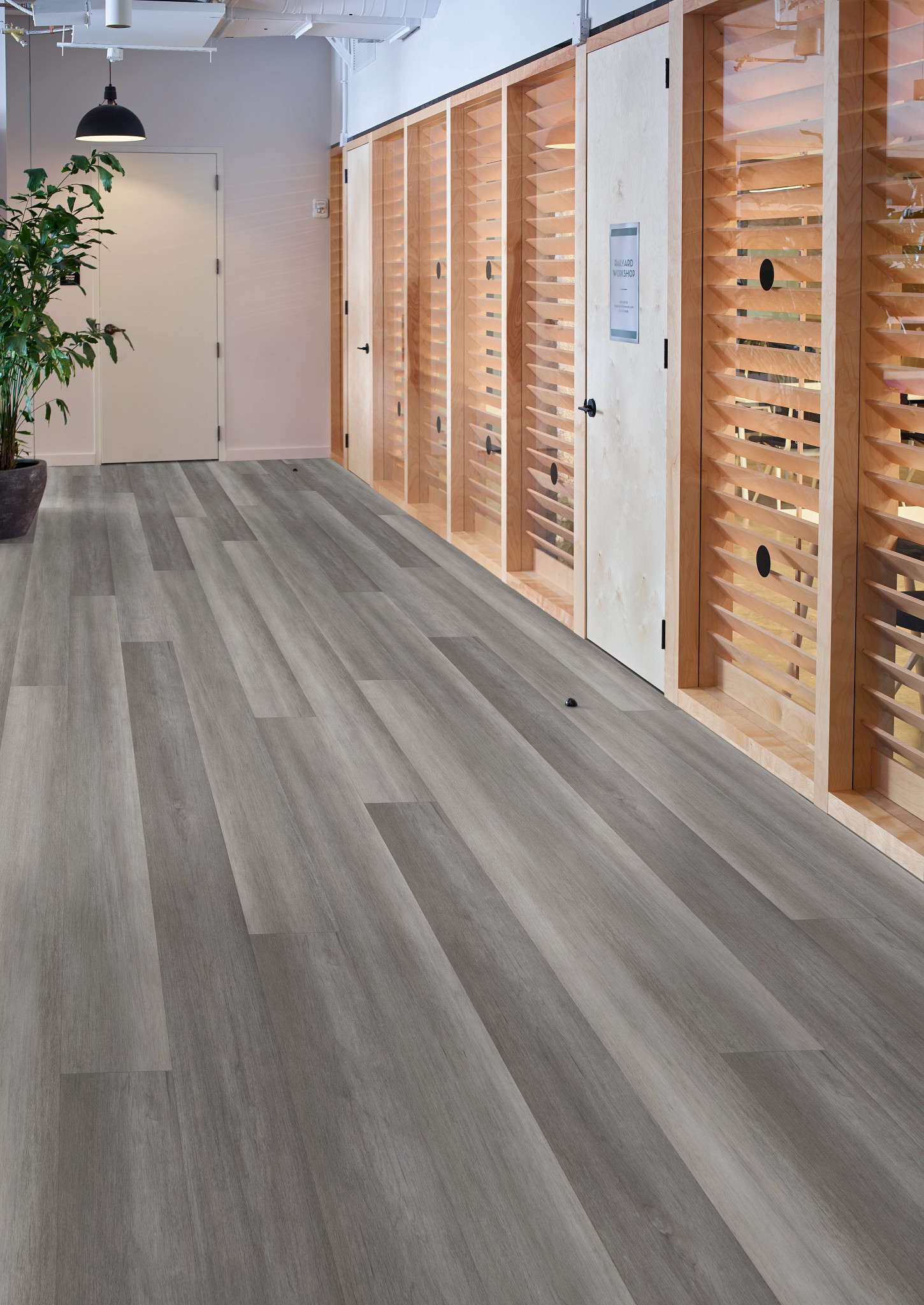 PHILOSOPHER'S-TREE-5599V-GRAPHITE-STEEL-00505-room-image