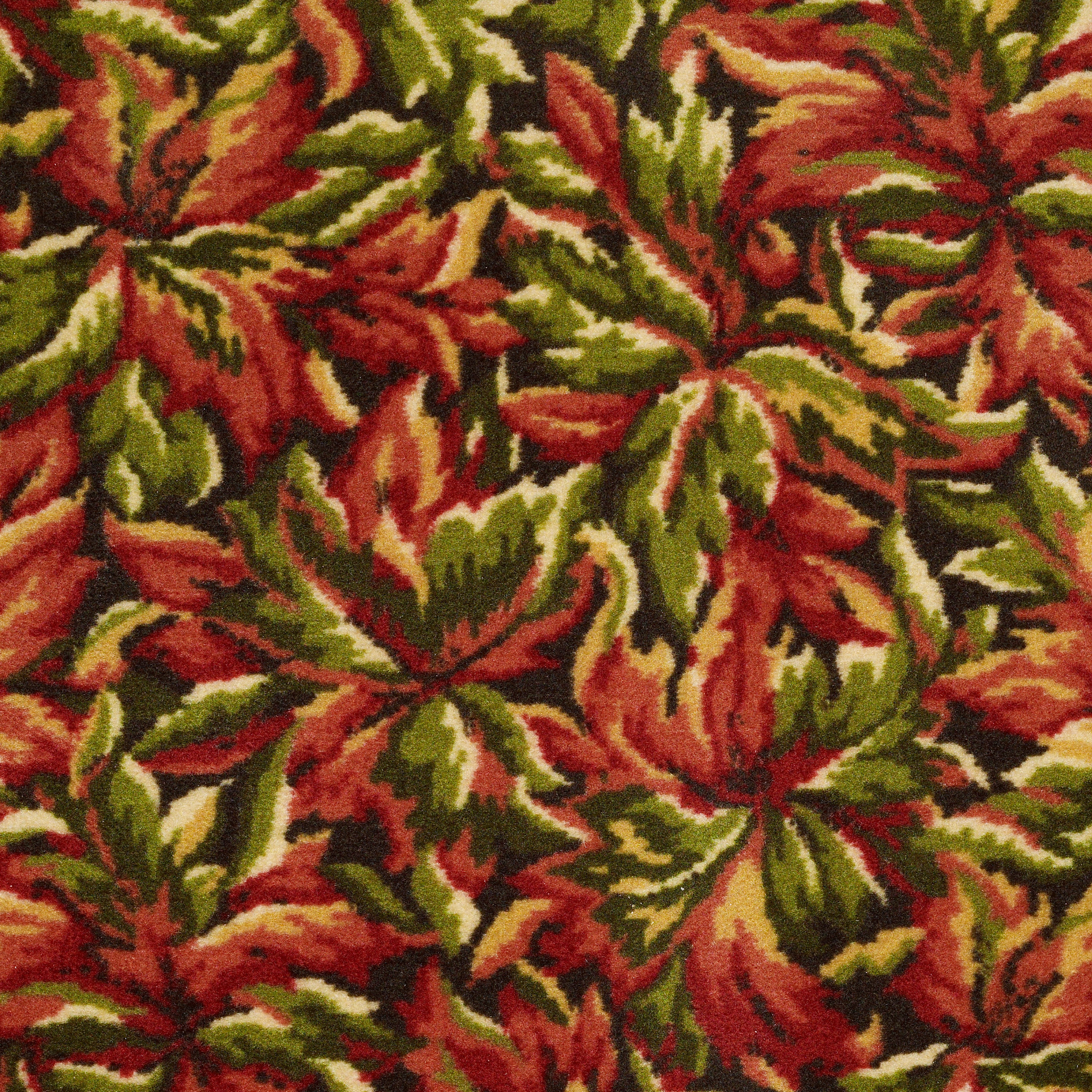 NEW-BAY-54705-FRUITWOOD-05800-main-image