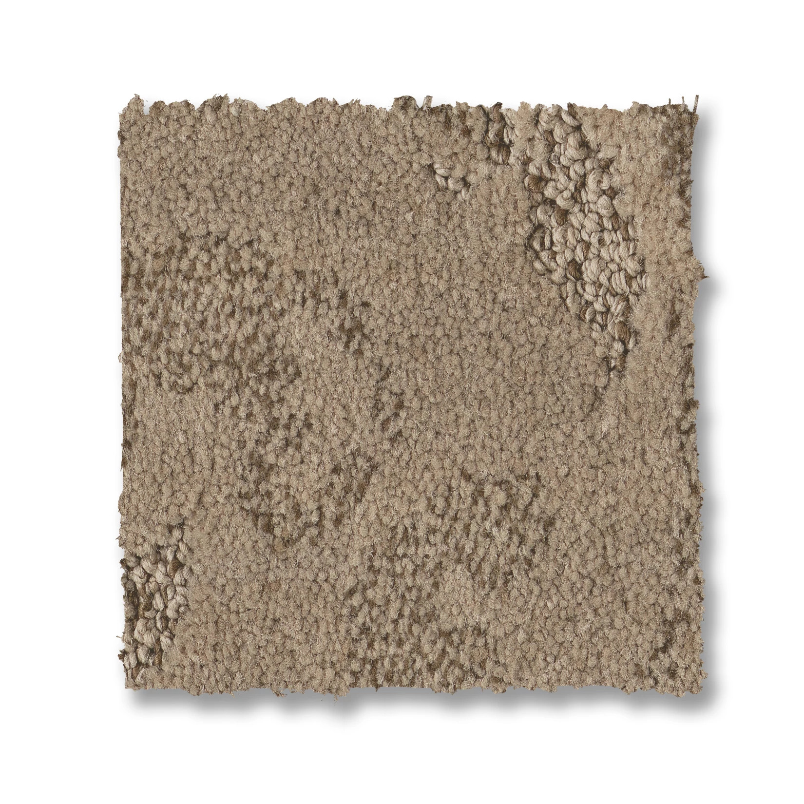 CHARISMATIC PALM DESERT SWATCH