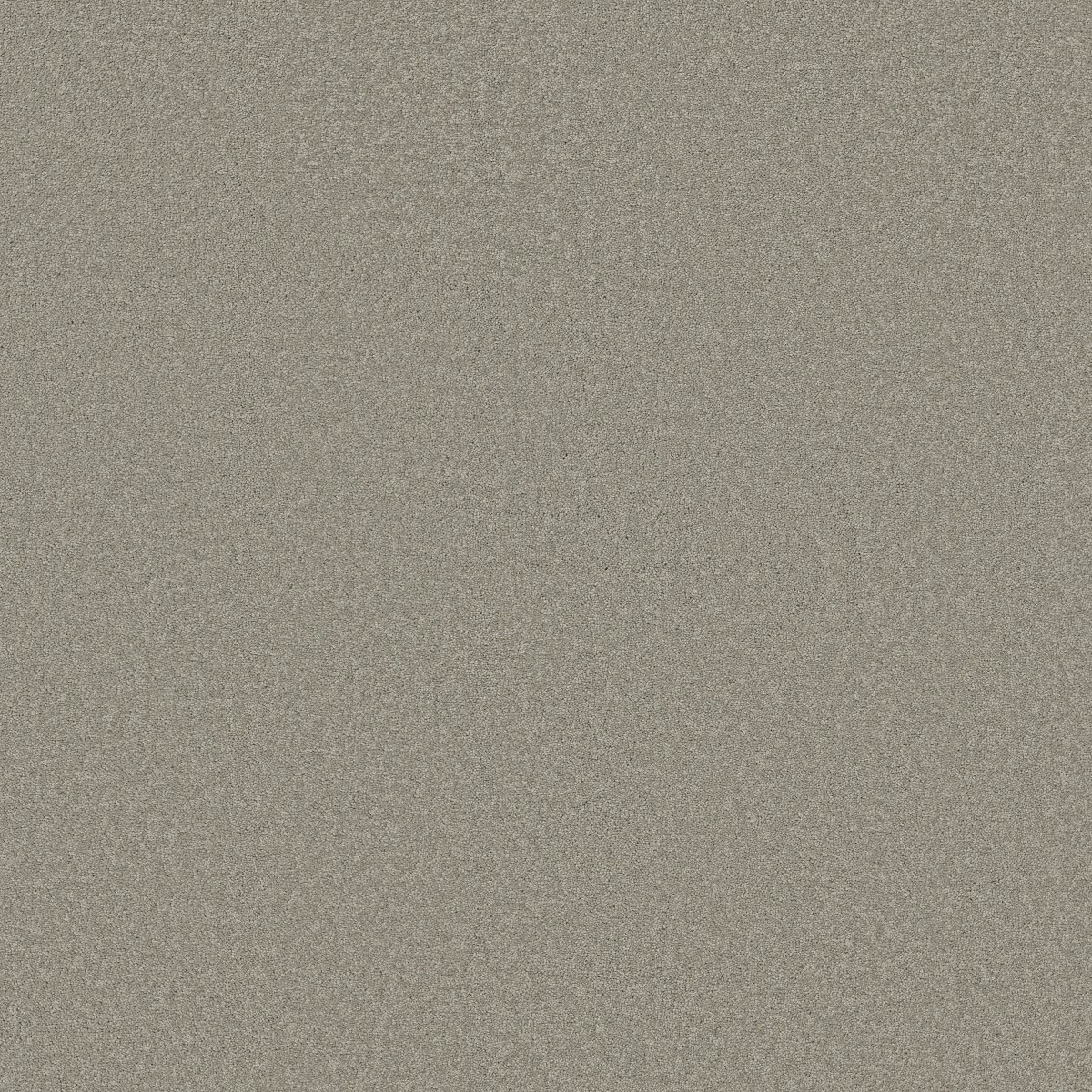 Shaw Floors EVERYDAY COMFORT (S) — ANTIQUE PEWTER