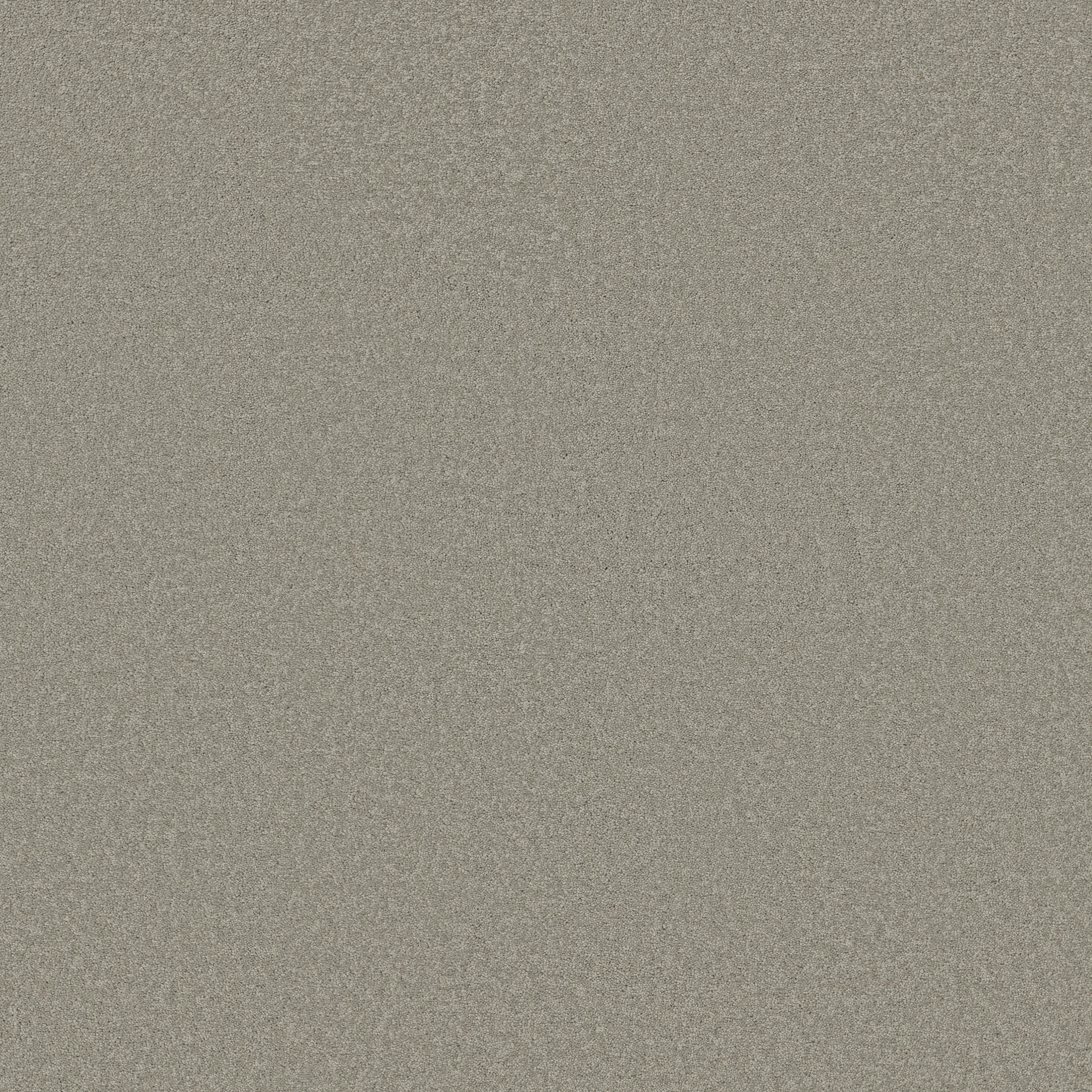 TIMELESS APPEAL I 12' SILVER CHARM MAIN