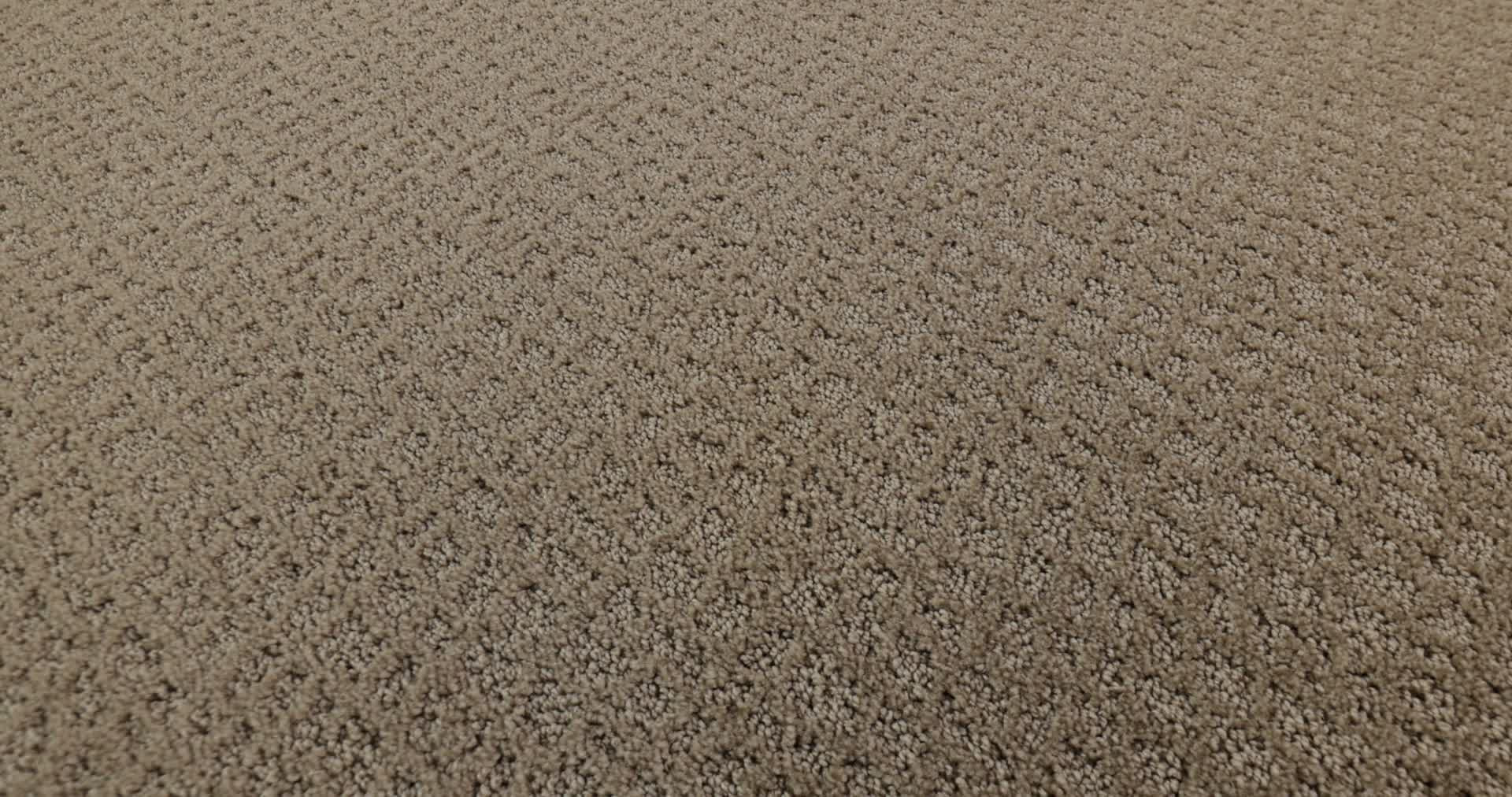 CHIC SHADES DESERT VIEW 360PROD