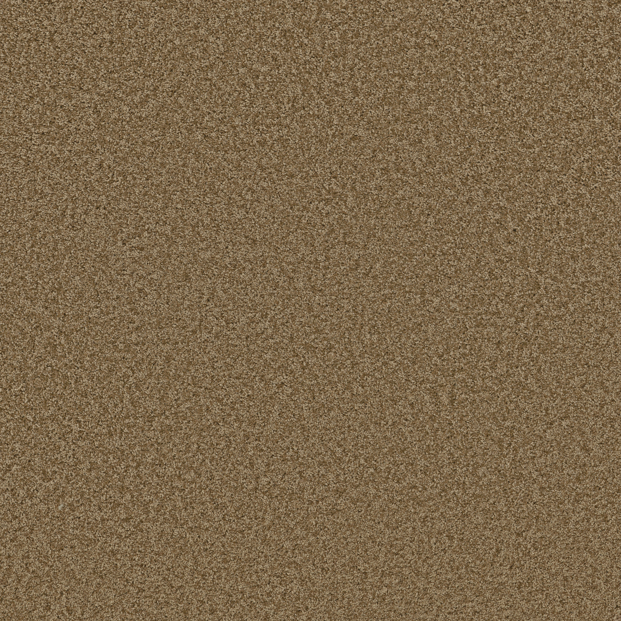 IDLE-TIME-54836-DILL-SEED-00702-main-image