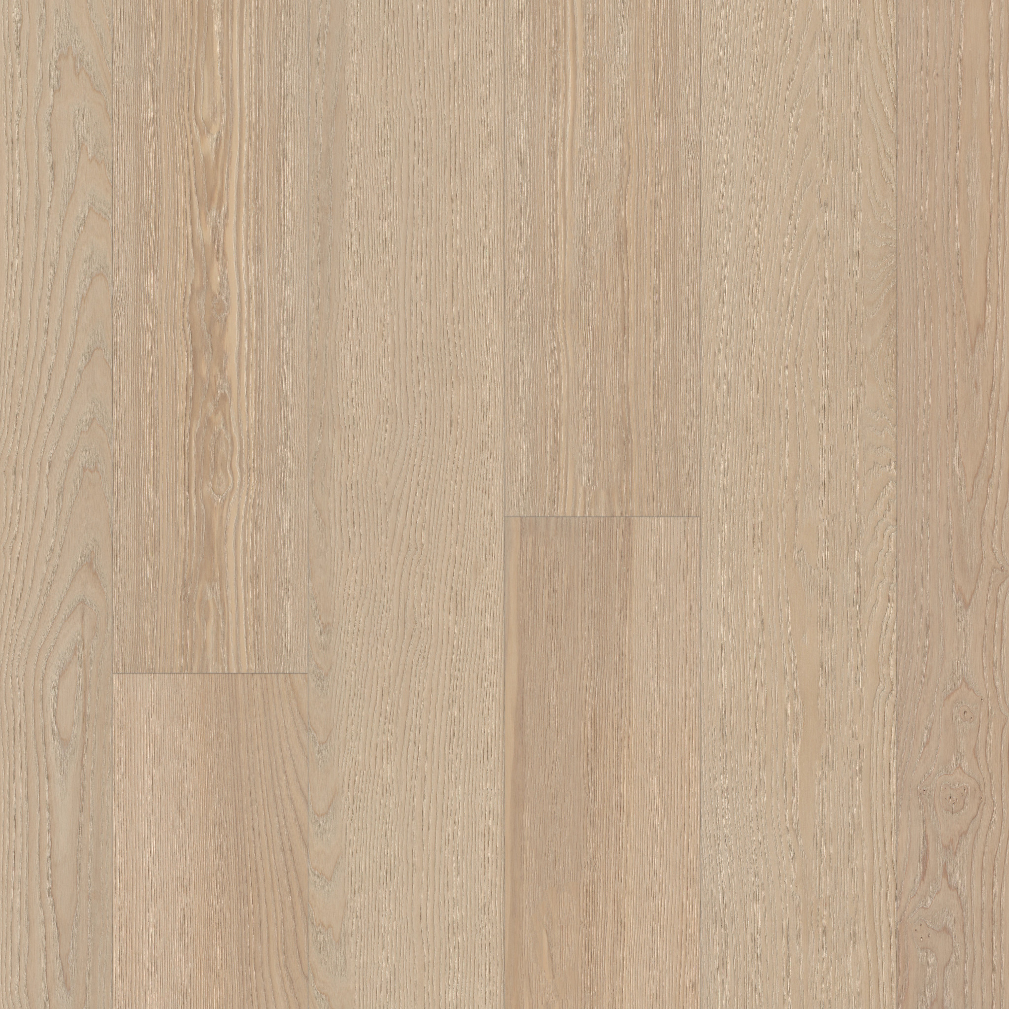 EUROPEAN ASH