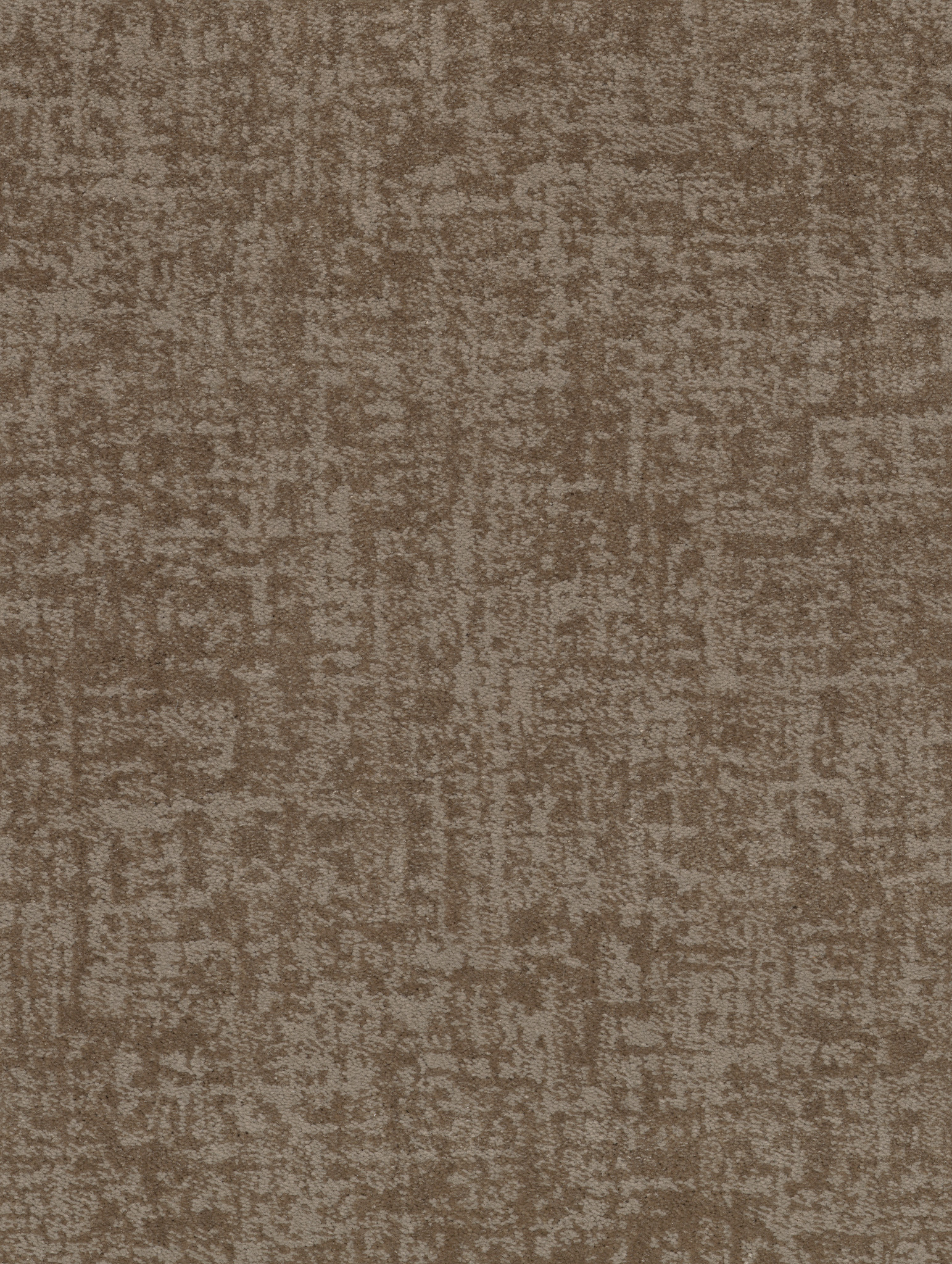 FINE STRUCTURE TUMBLEWEED MAIN