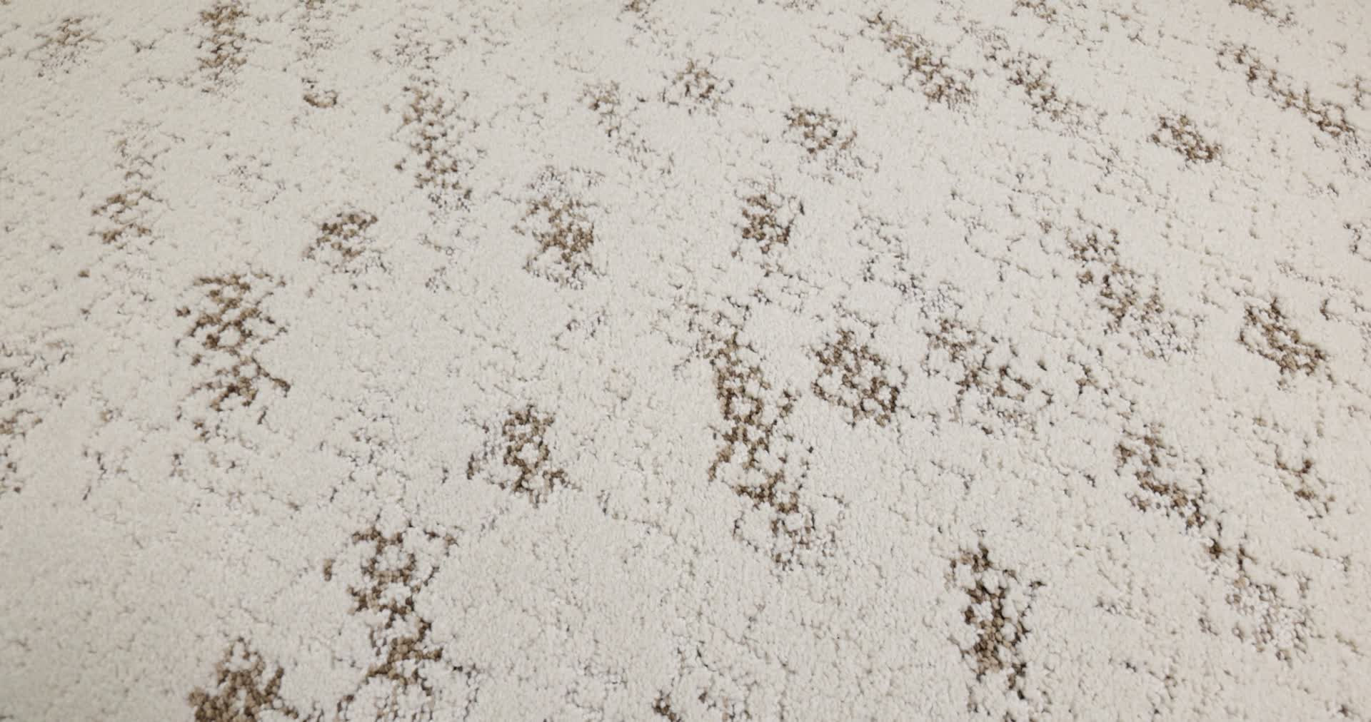 EVOKE VINTAGE FIND 360PROD