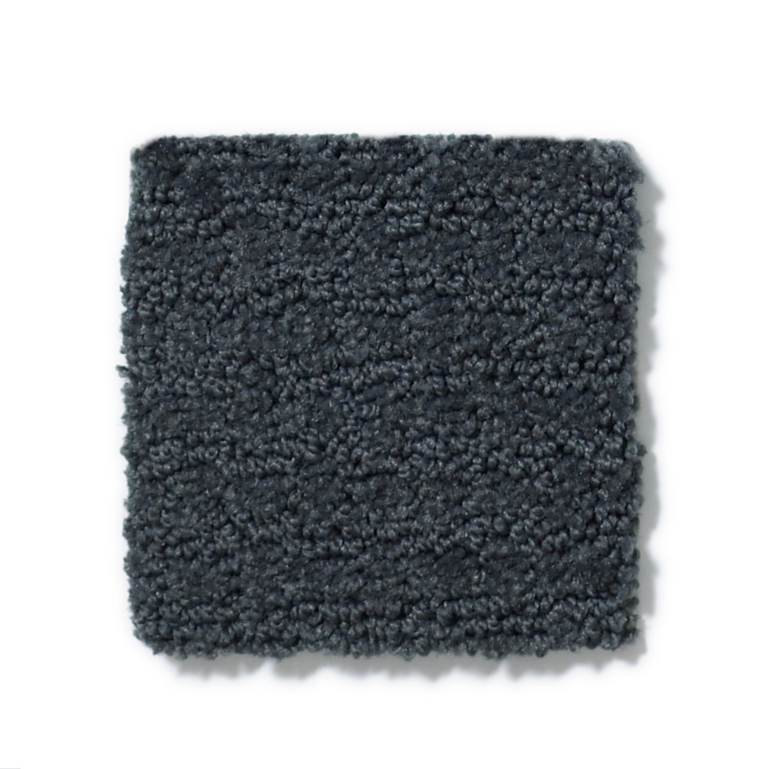 COMPLETE CONTROL MOON BAY SWATCH