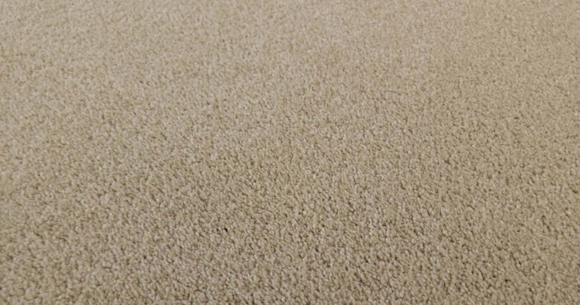 BEAUTIFULLY SIMPLE SANDY SHORE 360PROD