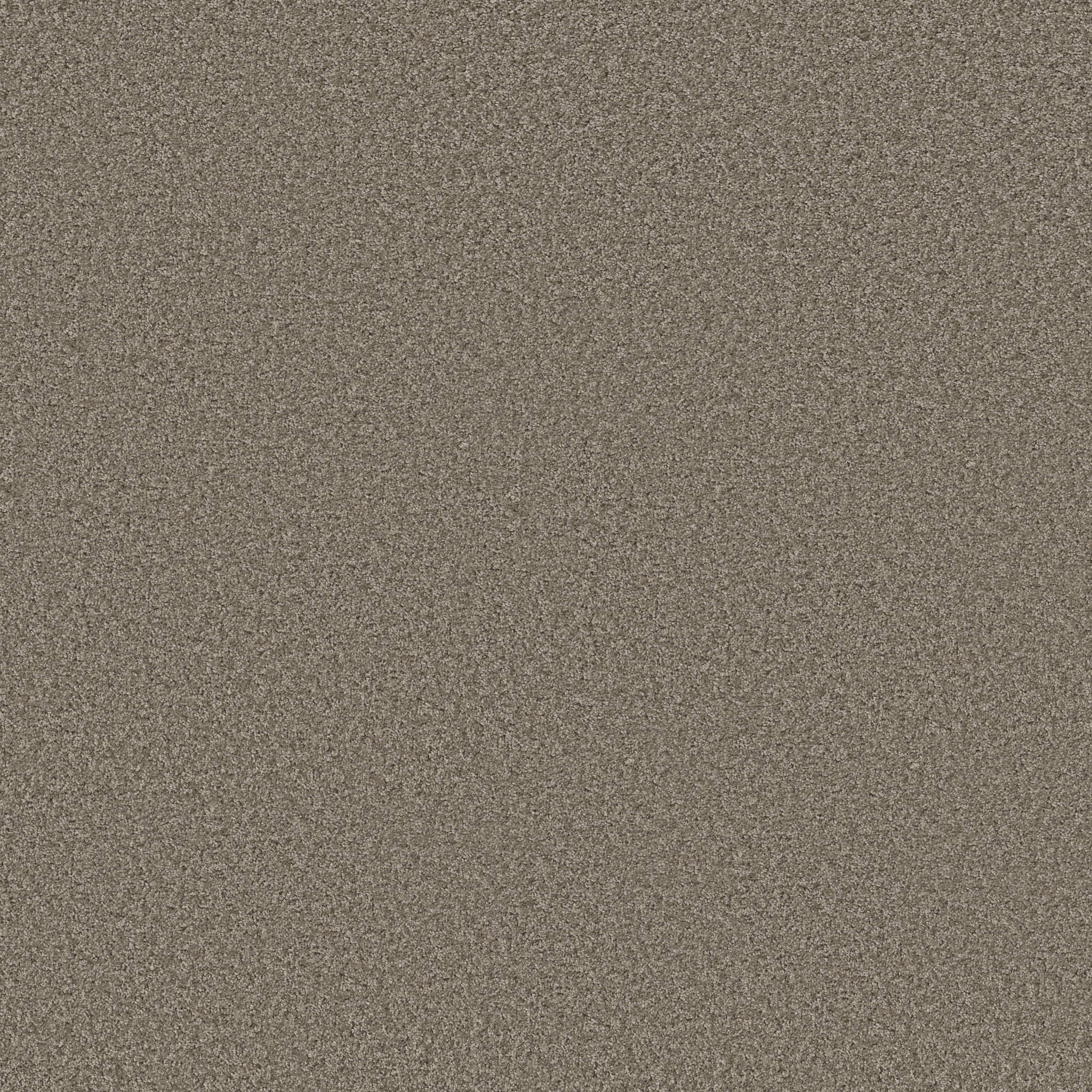 MAKE IT YOURS (S) DRIFTWOOD SOLID MAIN