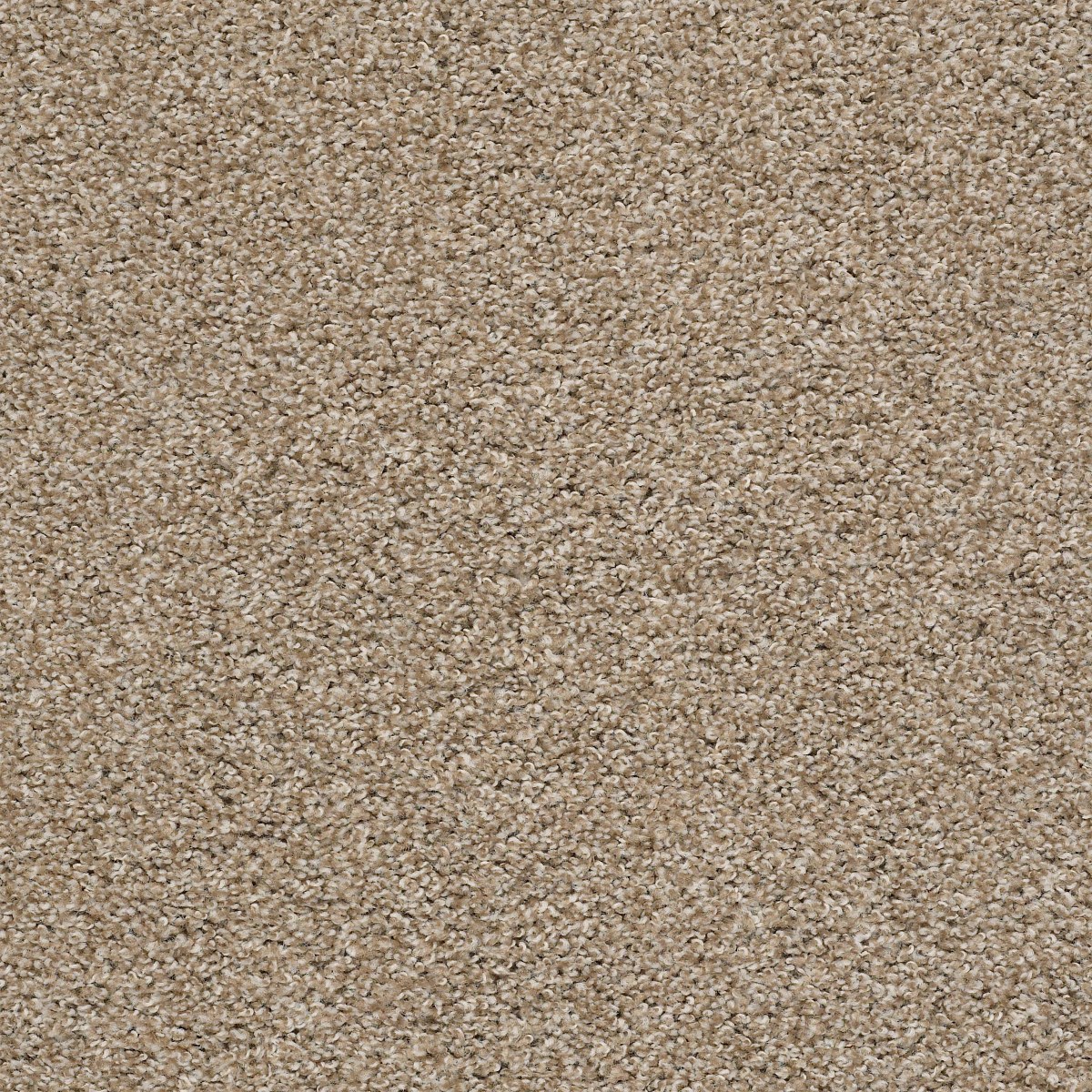 Shaw Floors POISED — ARTISAN