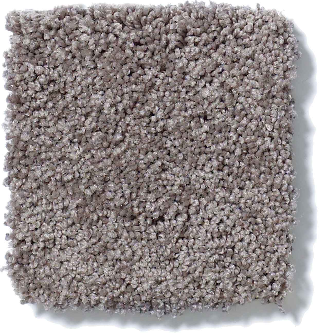 AG TIMELESS PASSION FRUIT SWATCH