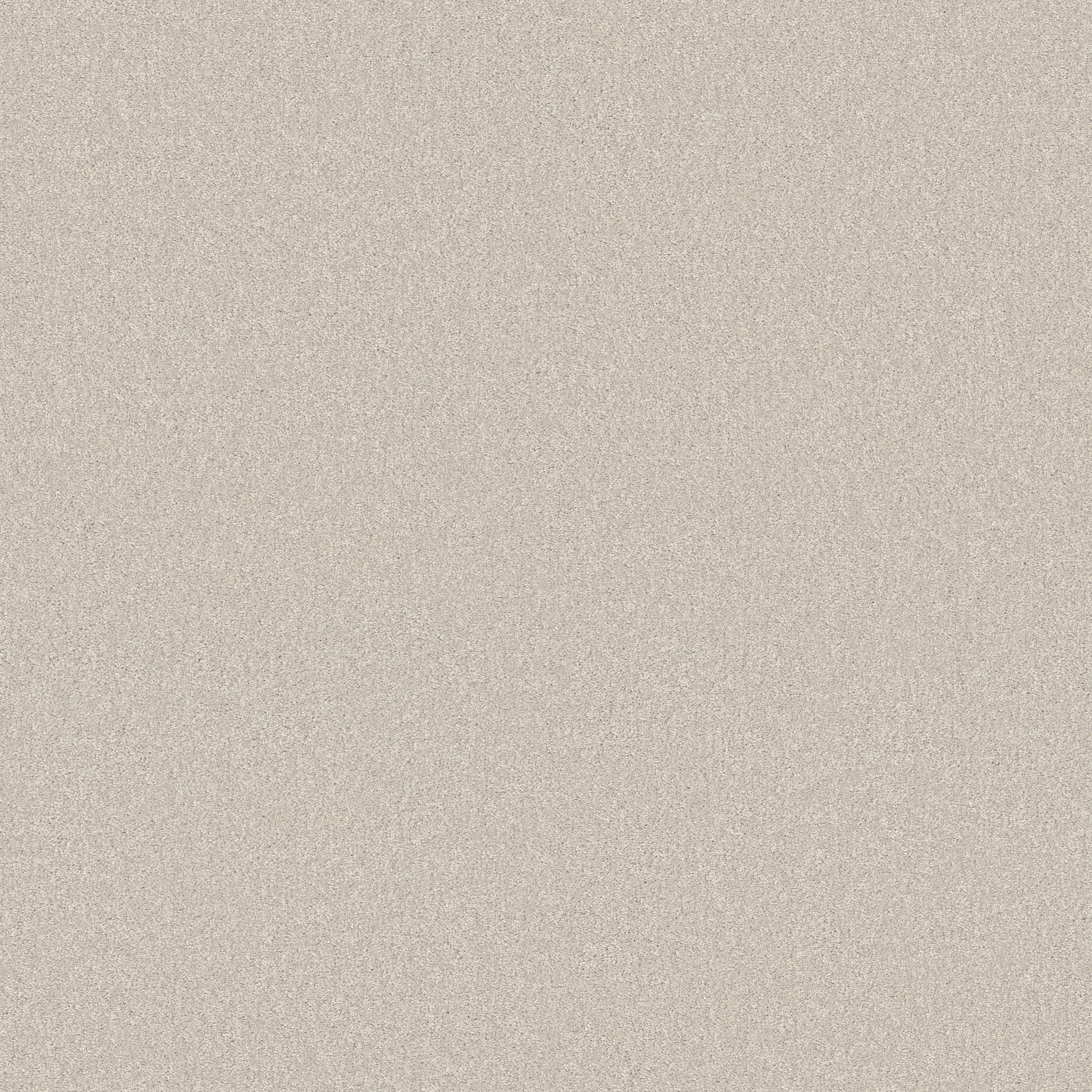 YOUR COMFORT II CHAMPAGNE TOAST MAIN